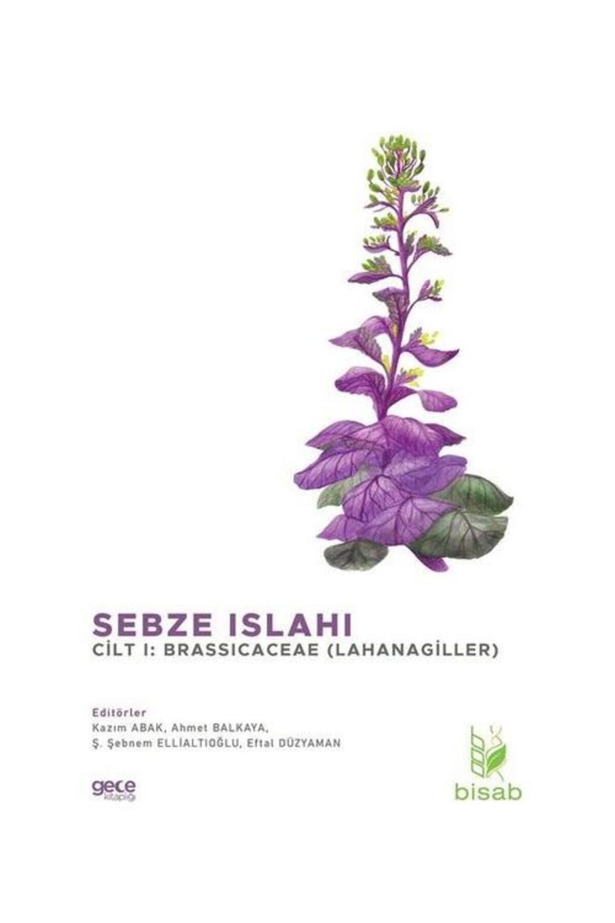 Gece Kitaplığı Sebze Islahı Cilt 1