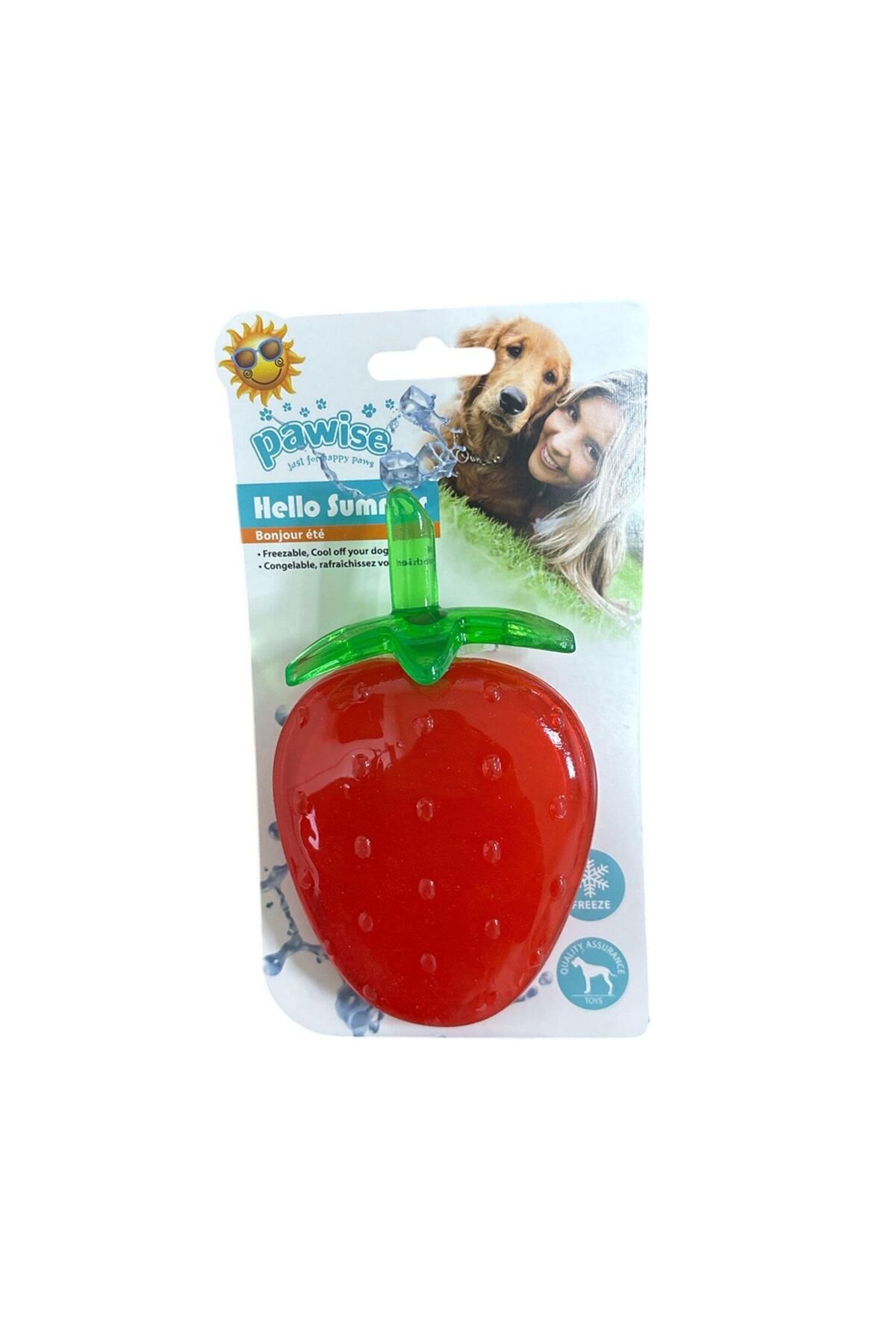Pawise Yazlık Köpek Oyuncağı Çilek