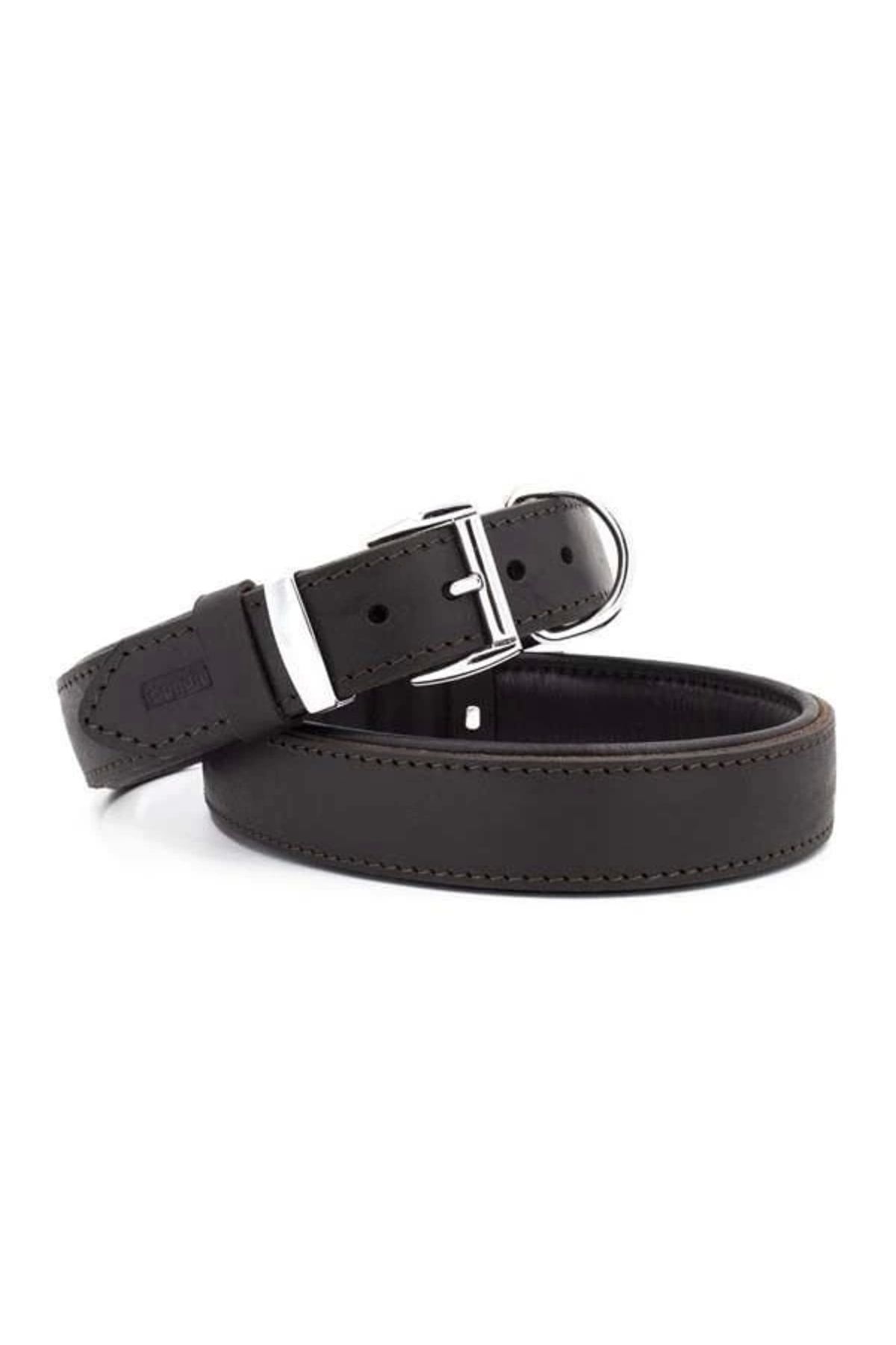 ShopNova Doggie Yağlı Deri Köpek Boyun Tasması Medium Kahverengi 3x42-50 Cm