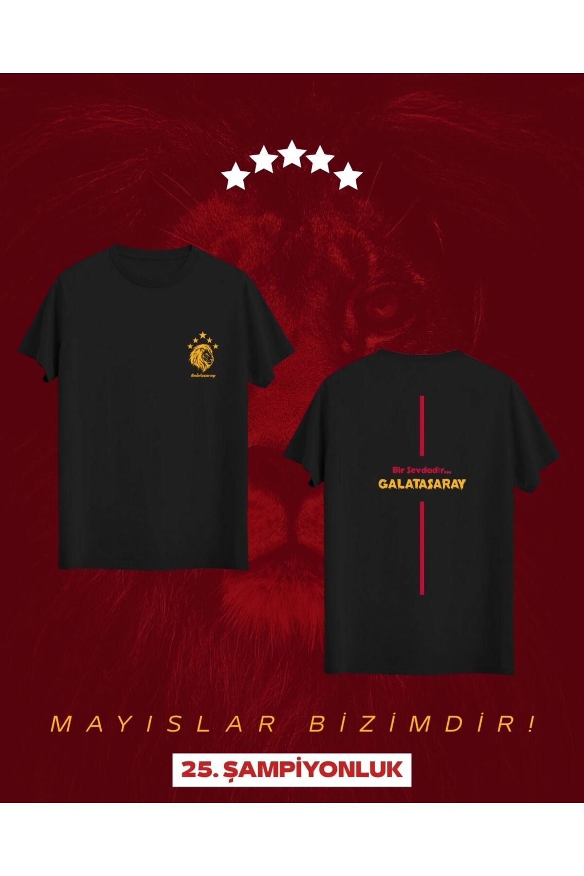 Qool Collection 25. Şampiyonluk Özel Seri | Bir Sevdadır GS