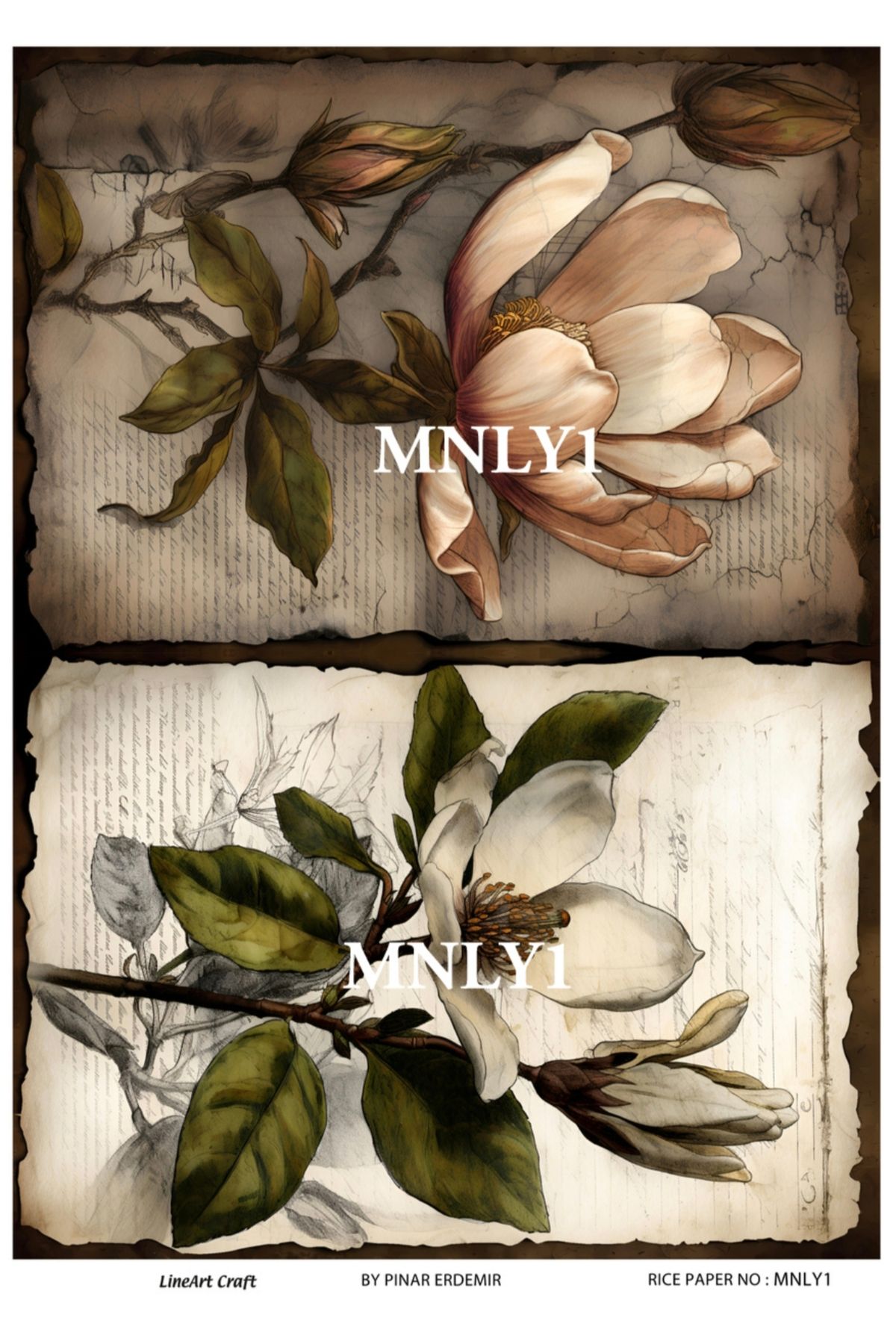 LİNEART PİRİNÇ DEKOPAJ MNLY1