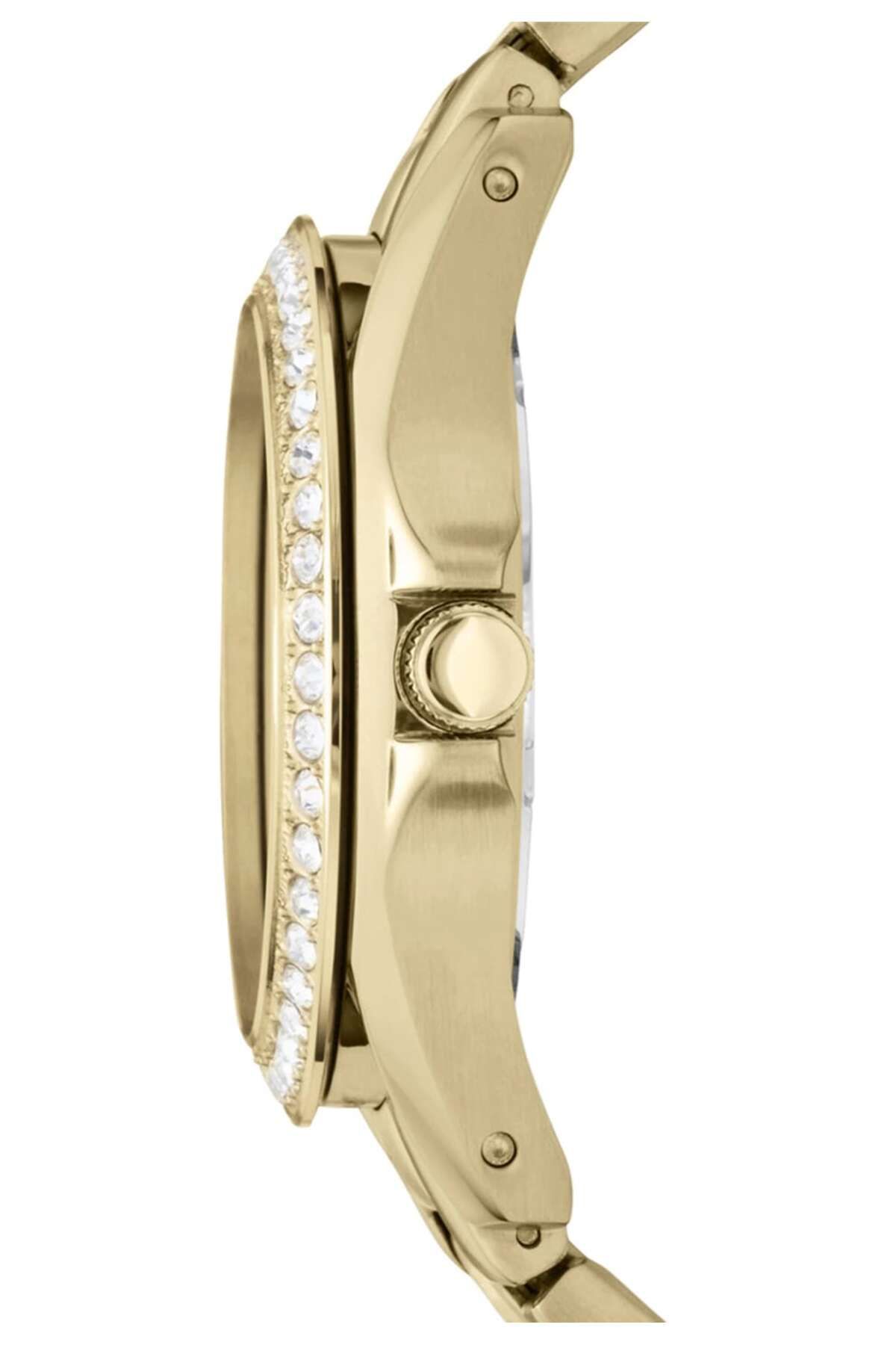 Fossil-Ceas Dama, Fossil, Riley ES3203 3