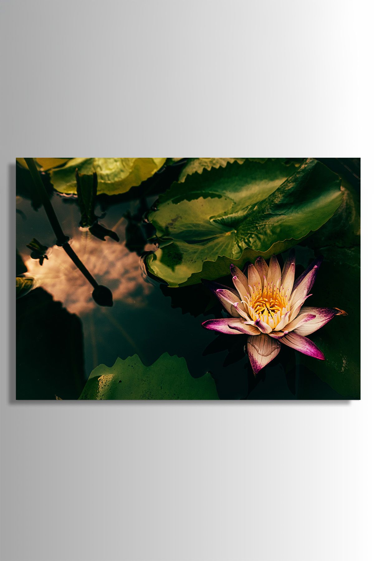 Nejjelo Nilüfer Lotus Cam Tablo Hediyelik Kırılmaz