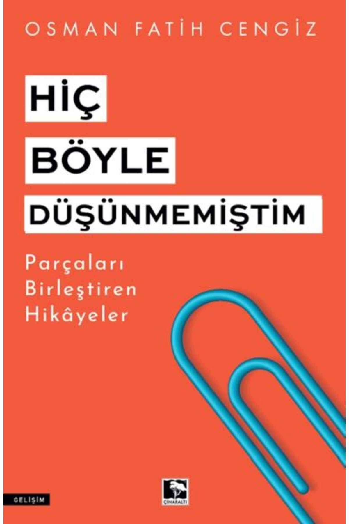 Çınaraltı Yayınları Hiç Böyle Düşünmemiştim