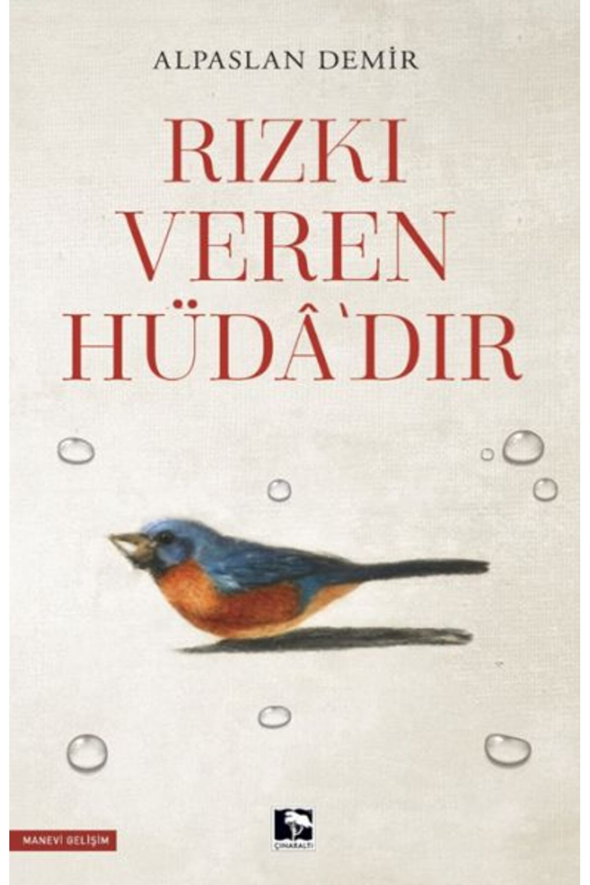Çınaraltı Yayınları Rızkı Veren Hüdâ’dır