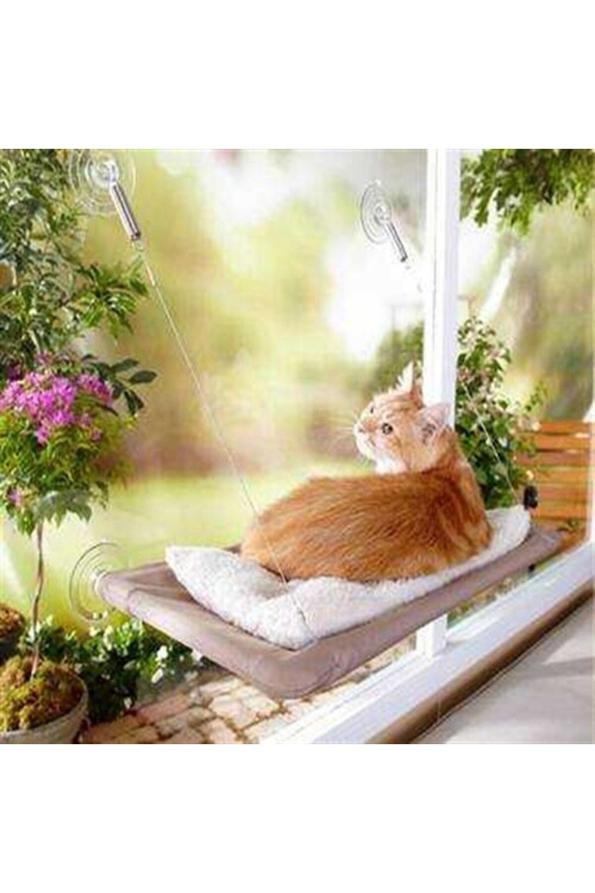 Myvora Cama Asılan Kedi Yatağı