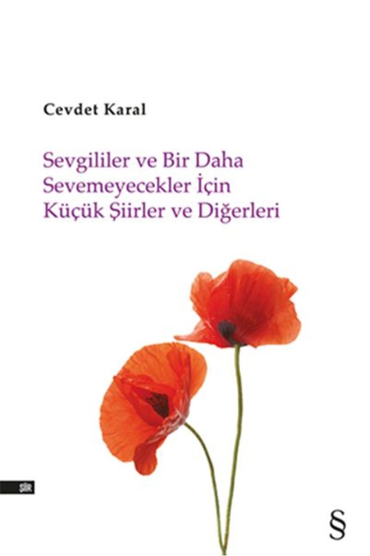Everest Yayınları Sevgililer ve Bir Daha Sevemeyecekler İçin Küçük Şiirler ve Diğerleri