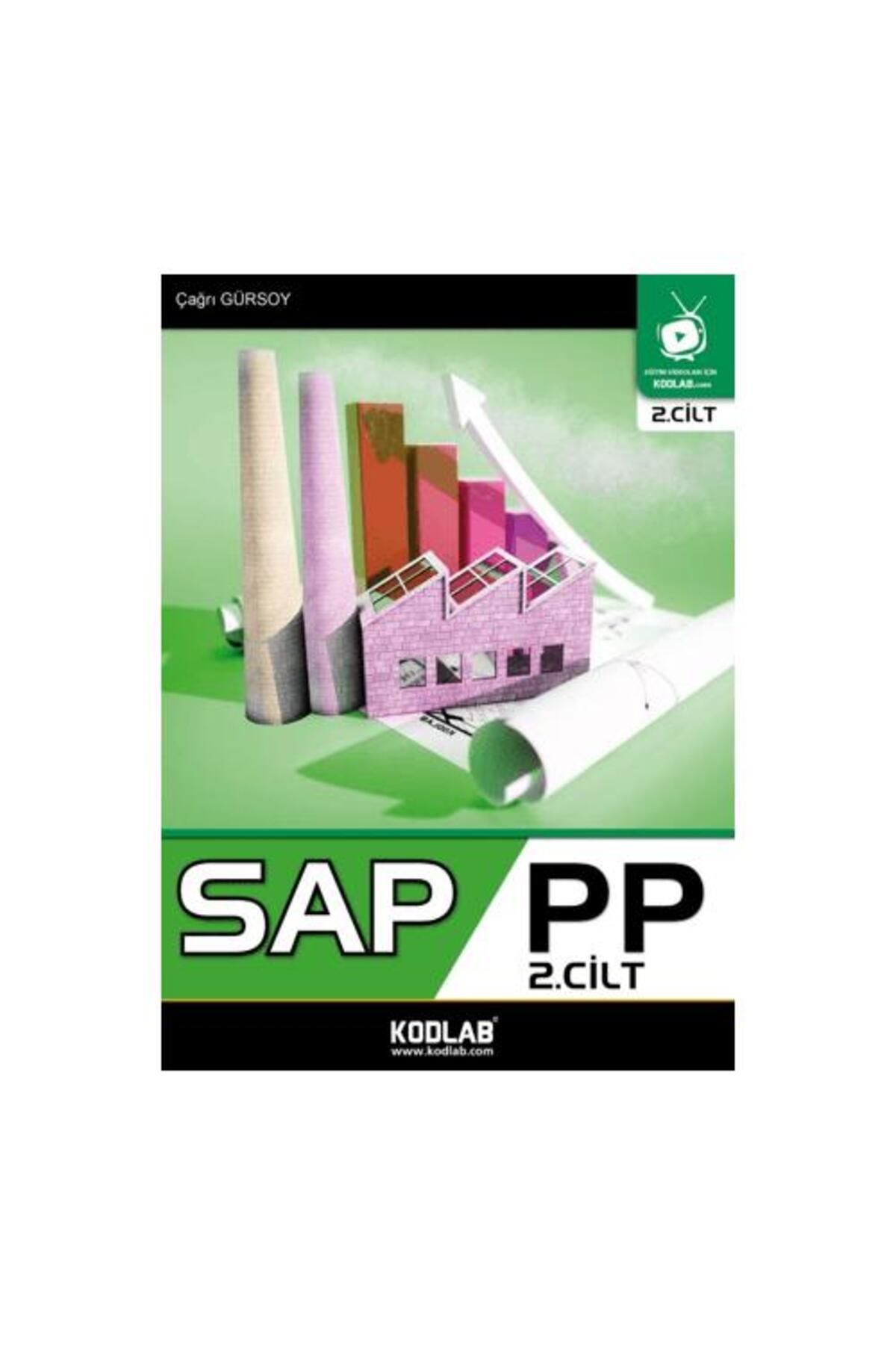 Kodlab Yayın Dağıtım Sap PP 2. Cilt