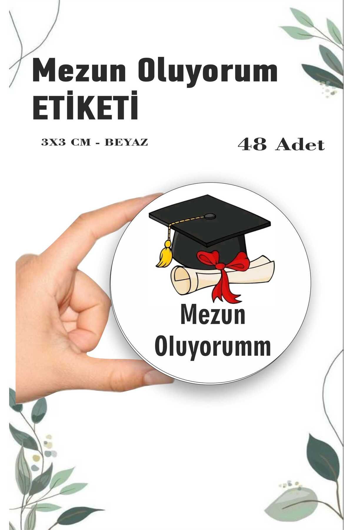 ZY TASARIM Mezun Oluyorum Mezuniyet Hatırası İyi Tatiller Öğretmen Etiket Karn Hatırası 3 cm 48 Adet
