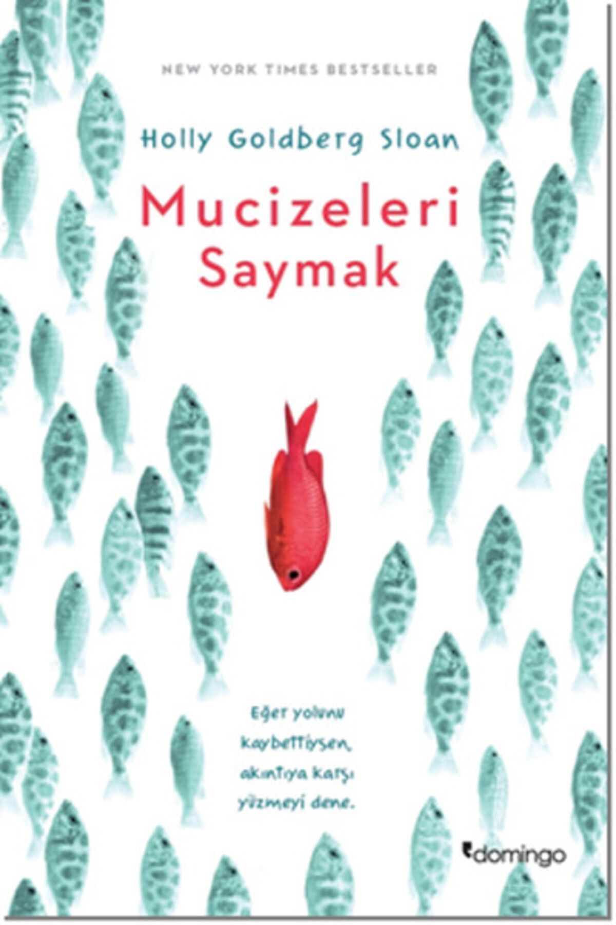 Domingo Yayınevi Mucizeleri Saymak