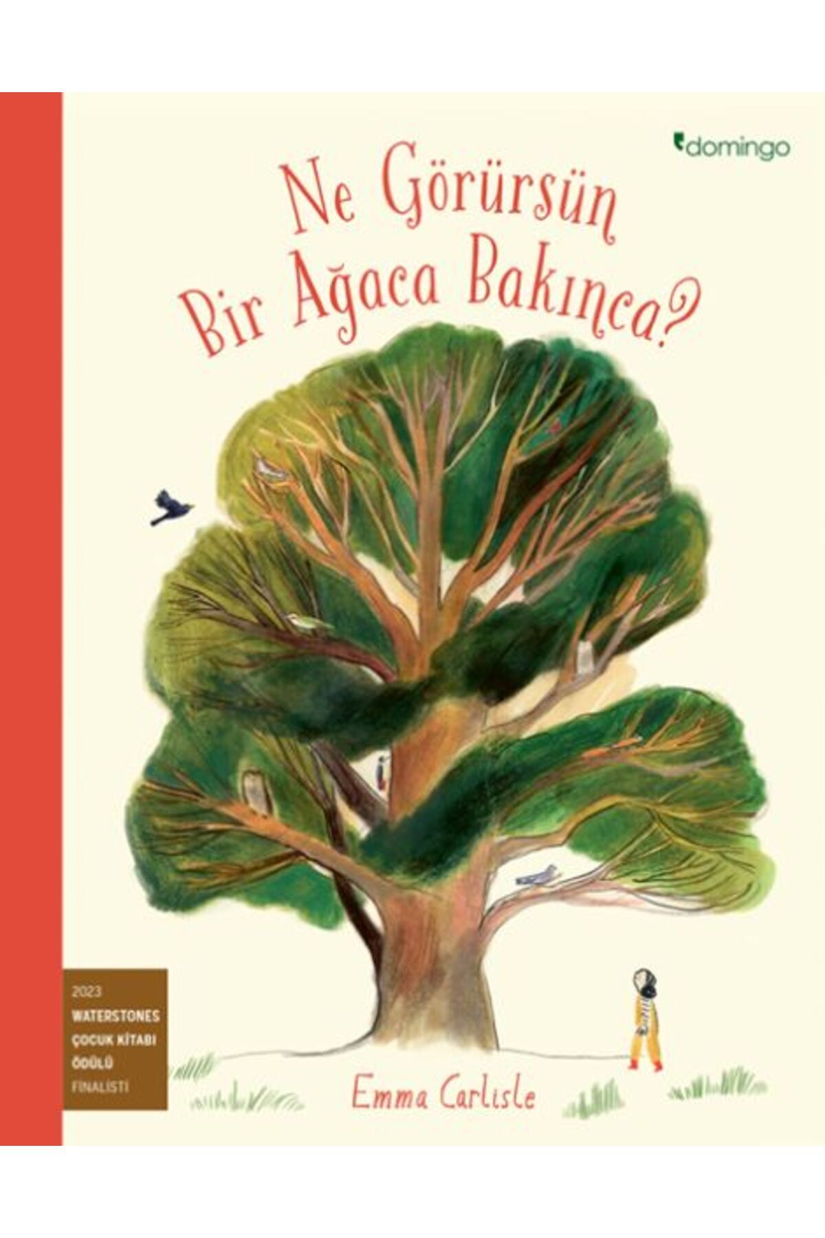 Domingo Yayınevi Ne Görürsün Bir Ağaca Bakınca?