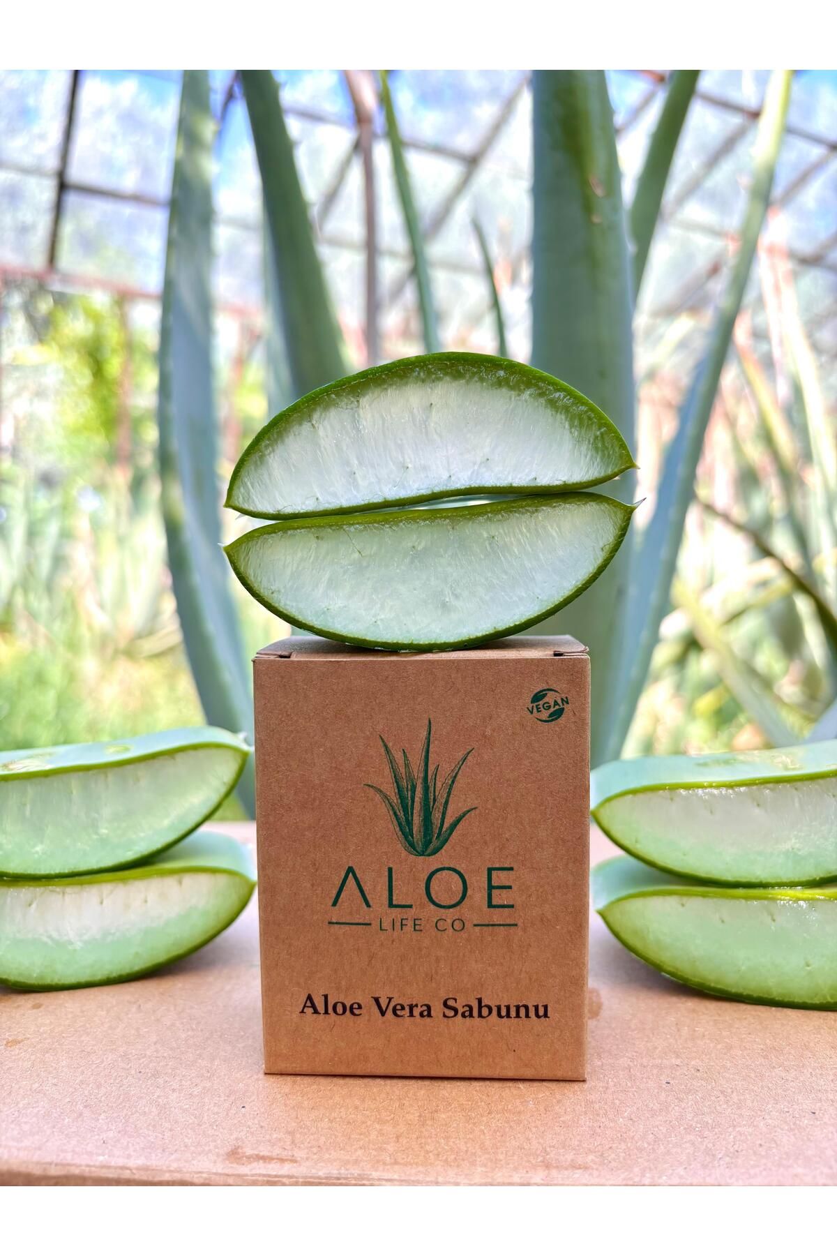 FidanBudur Aloe Vera Sabunu, %100 El Yapımı, Doğal, Vegan