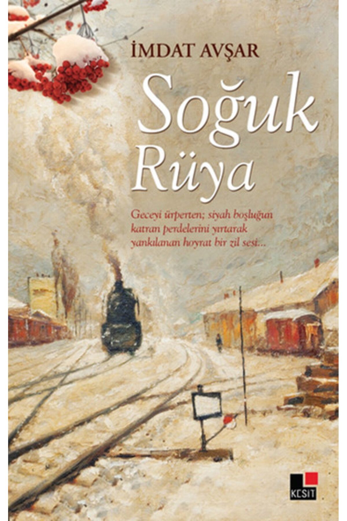 Kesit Yayınları Soğuk Rüya