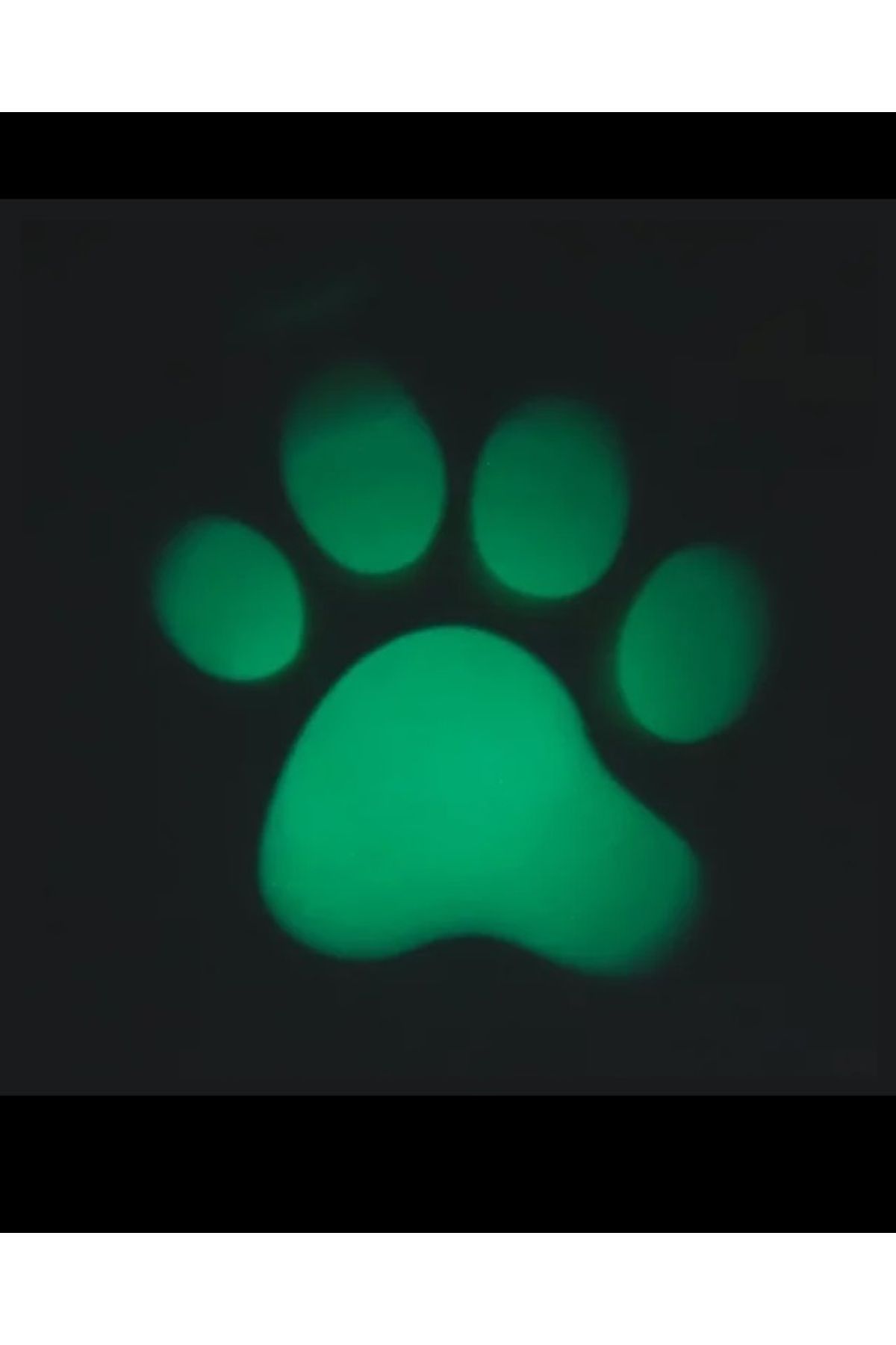Universal-Toy with LED light that projects an animal paw for cats, for training 2