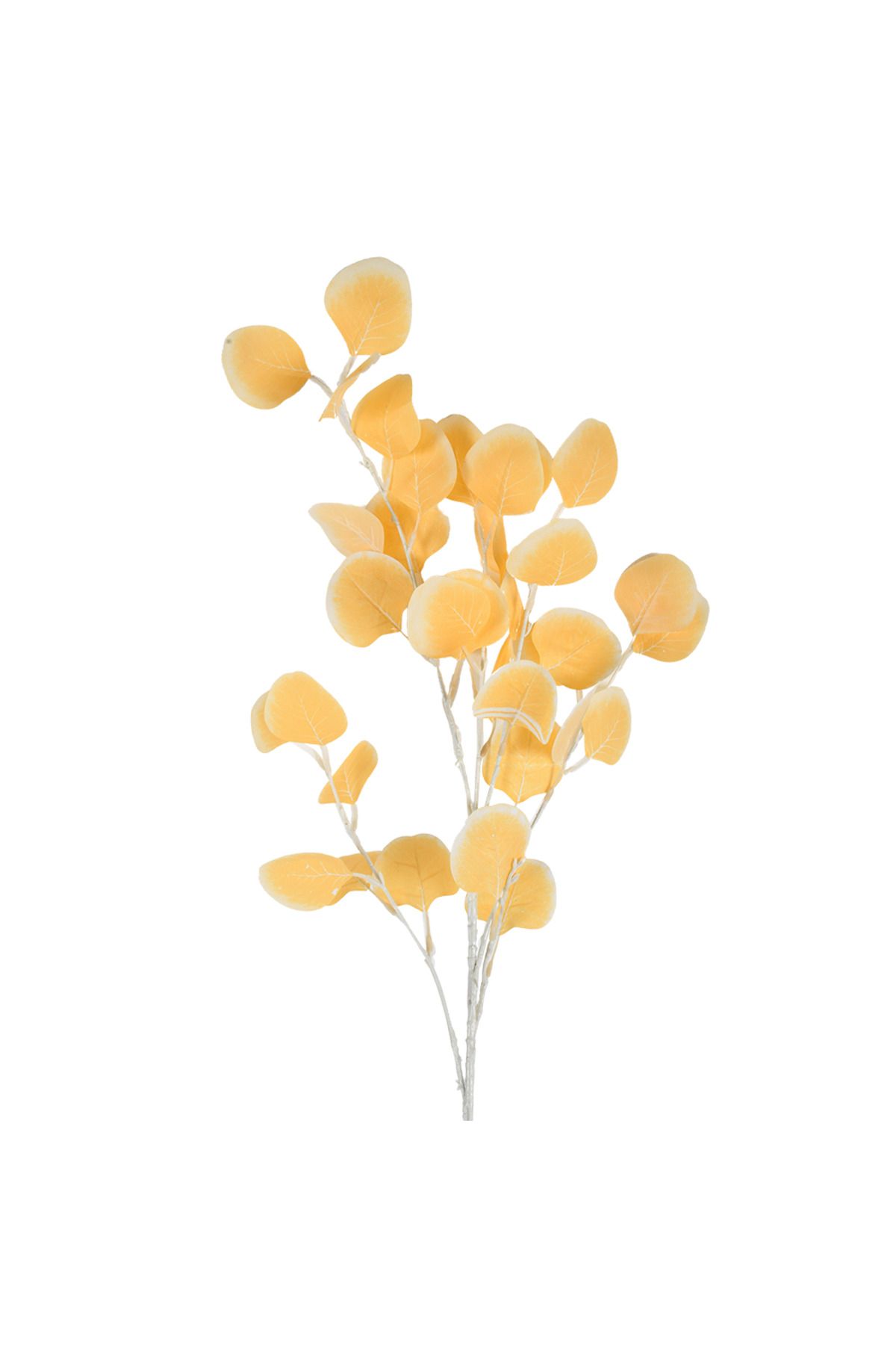 Leona Dekoratif Ürünler EUCALYPTUS YAPAY CICEK KREM