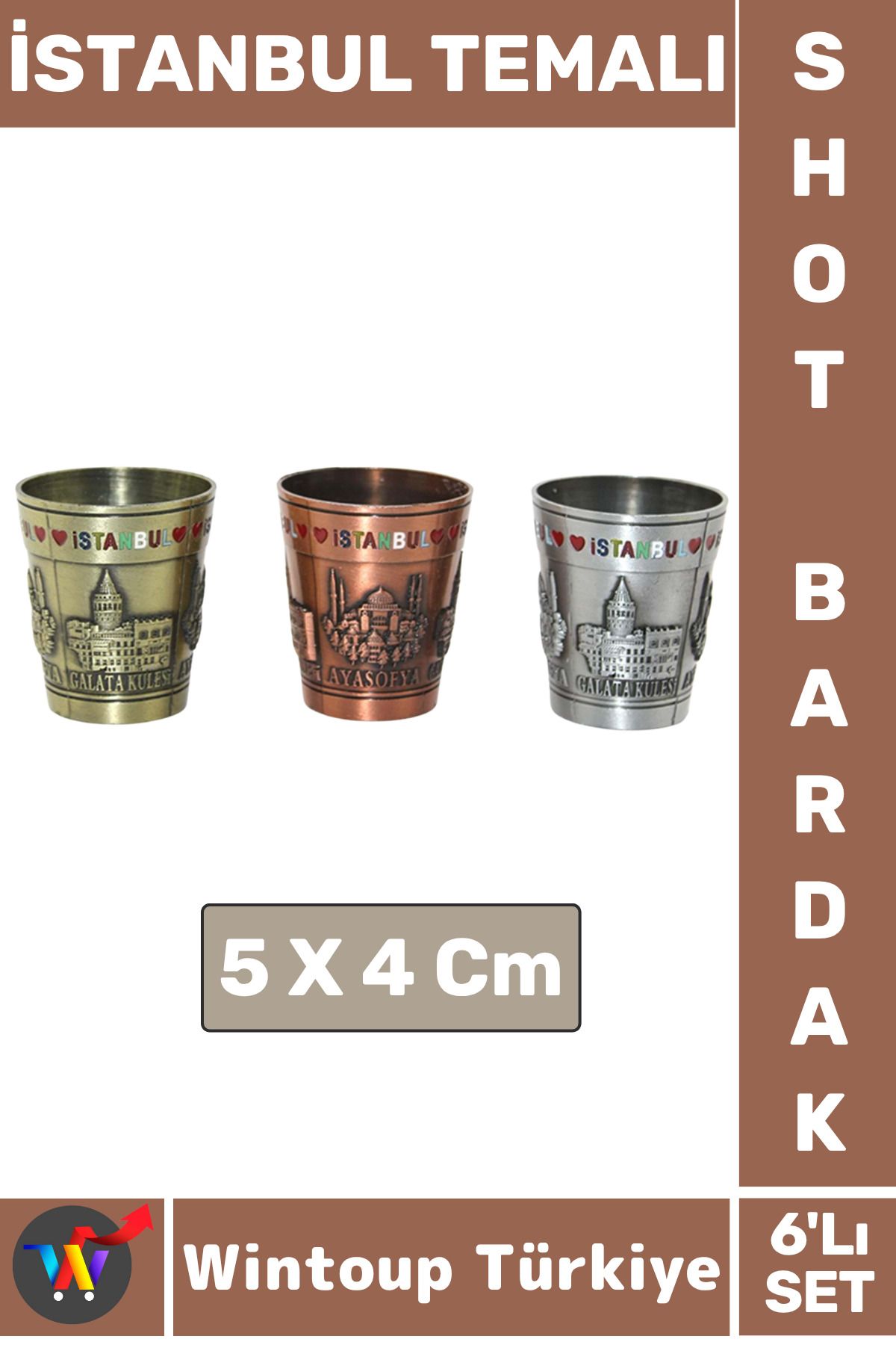 Wintoup Arkadaş Eğlence Yılbaşı Alkol Tekila Dekoratif Hediye İstanbul Tema 6'lı METAL SHOT BARDAK SETİ 5 Cm