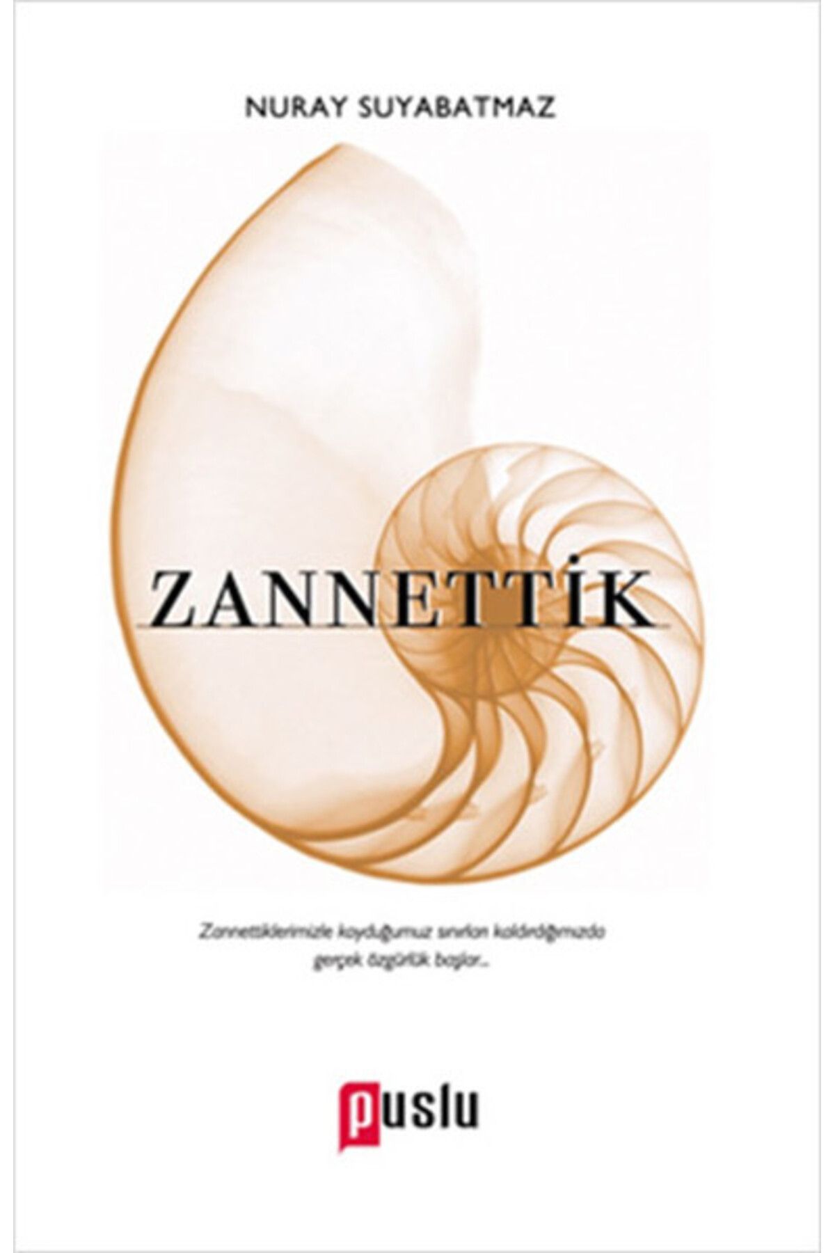 Puslu Yayıncılık Zannettik