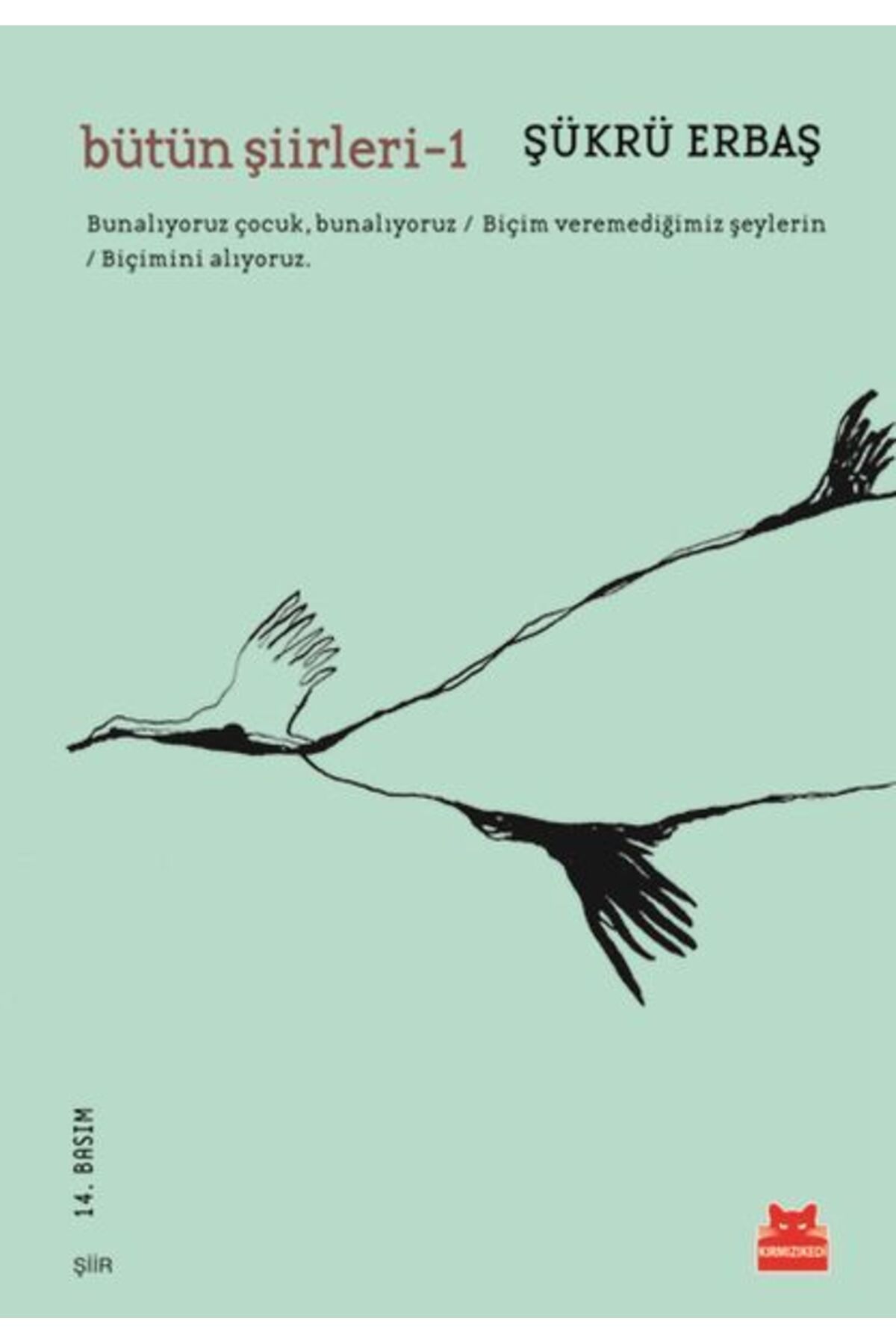 Kırmızı Kedi Yayınları Bütün Şiirleri 1