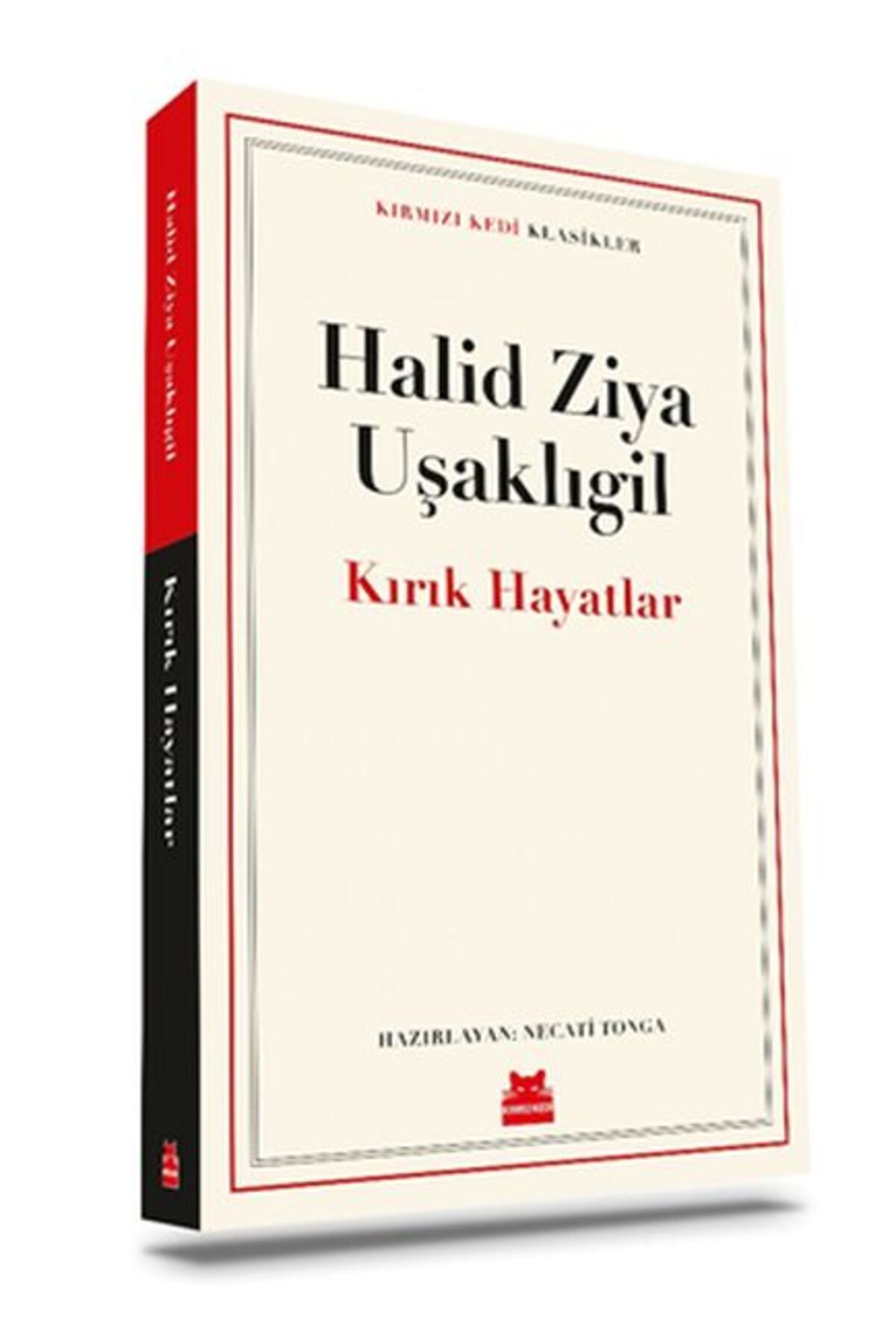 Kırmızı Kedi Yayınları Kırık Hayatlar