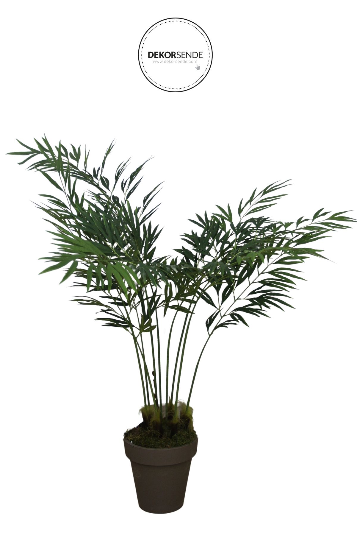 Dekorsende Bambu Palmiye Ağacı 165 cm