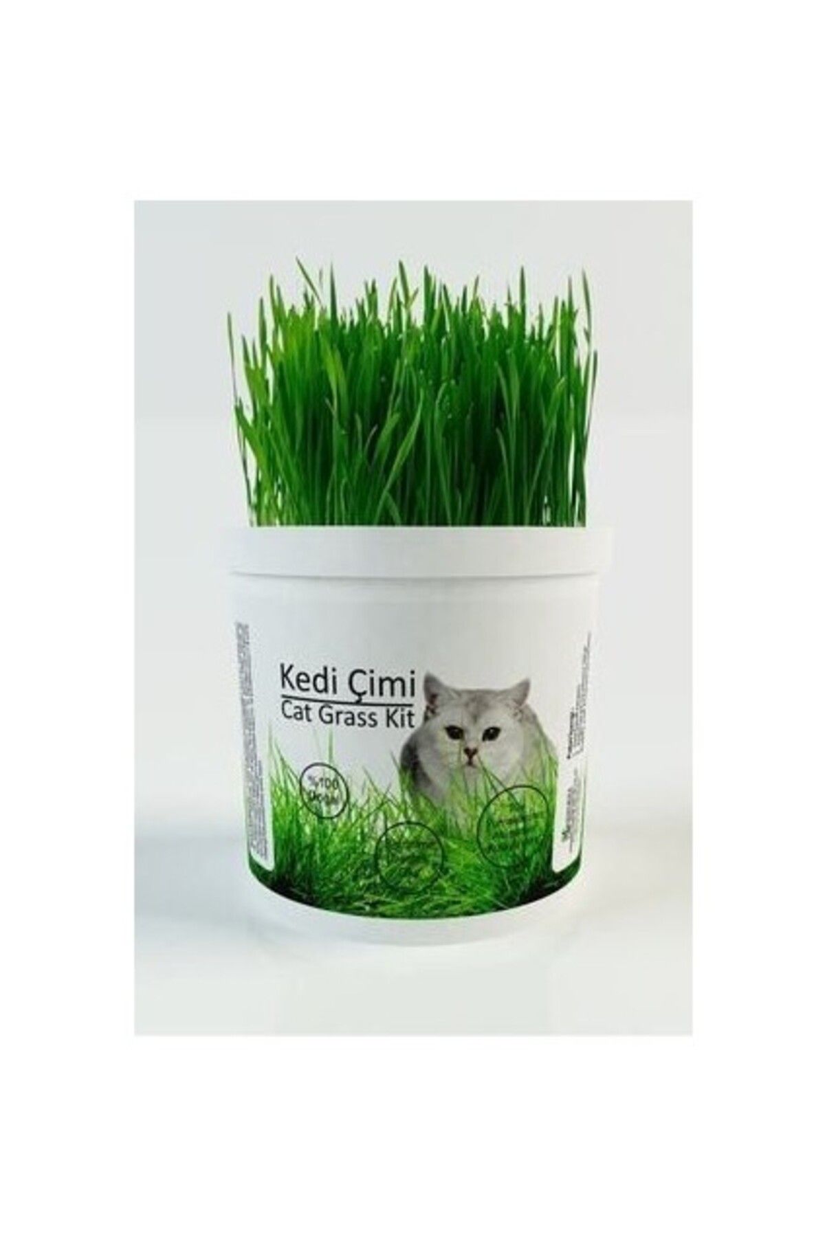 AGROERA %100 Doğal Kedi Çimi (Tüy Yumağı Önleyici)