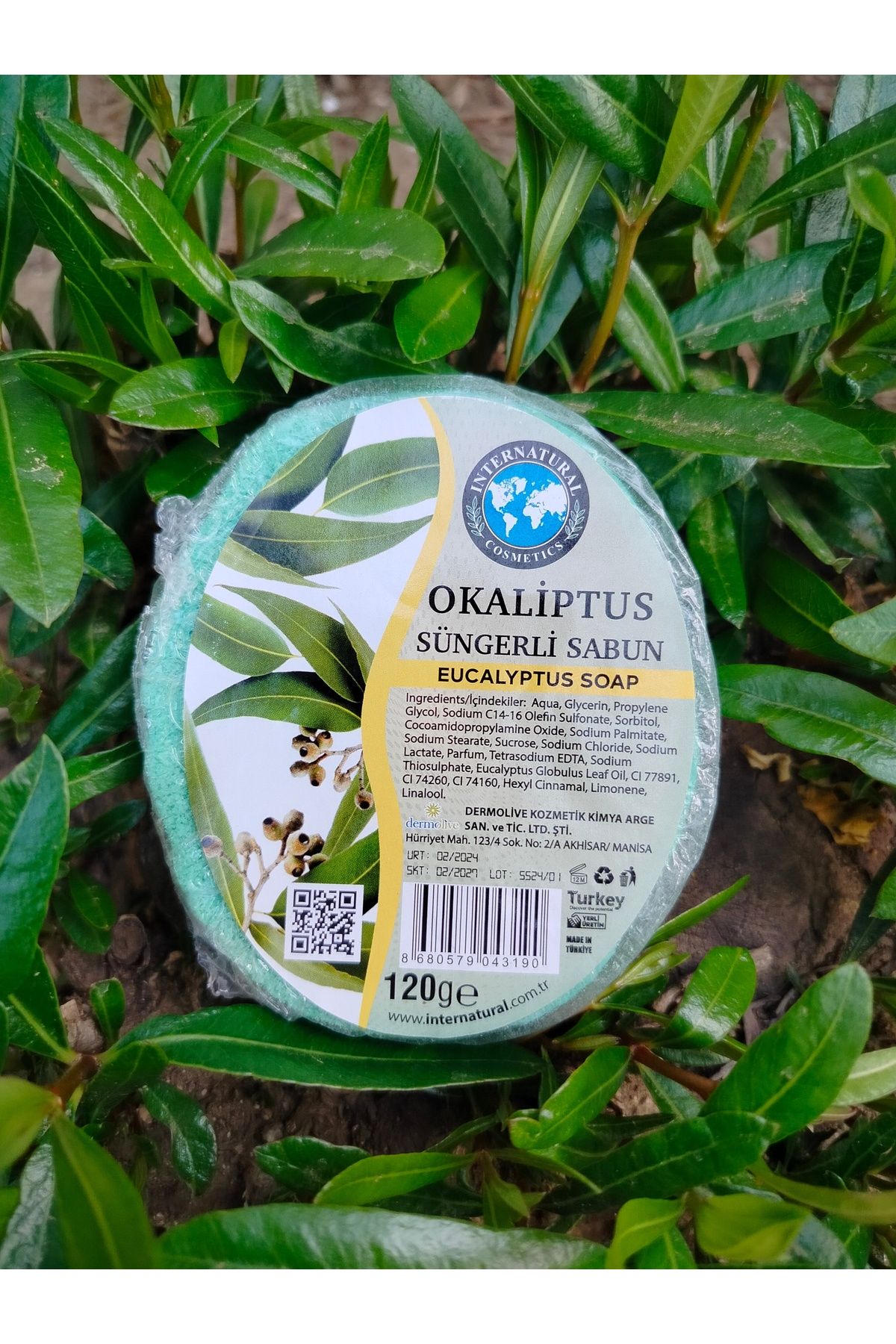 İnterNatural Okaliptus Süngerli Sabun / Eucalyptus Soap 120 g