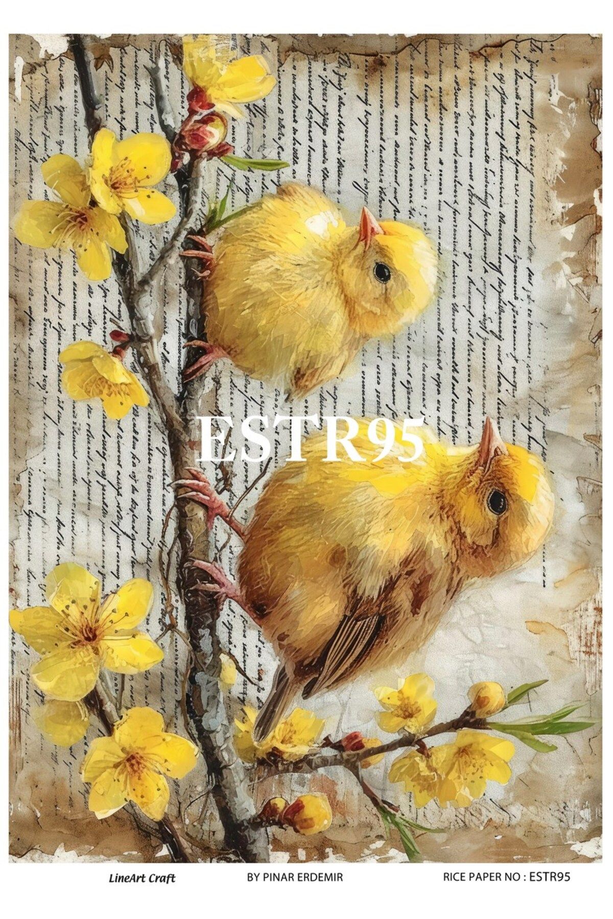 LİNEART Lineart Pirinç Dekopaj Kağıdı ESTR95 29x42cm