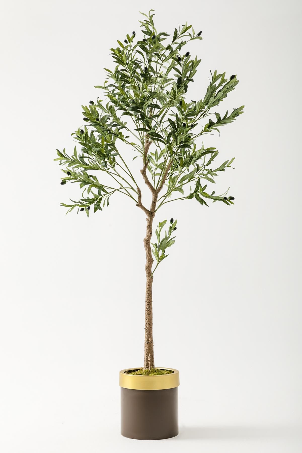 Güleç Yapay Çiçek Yapay Zeytin Ağacı 175 Cm Kahverengi Gold Metal Saksı