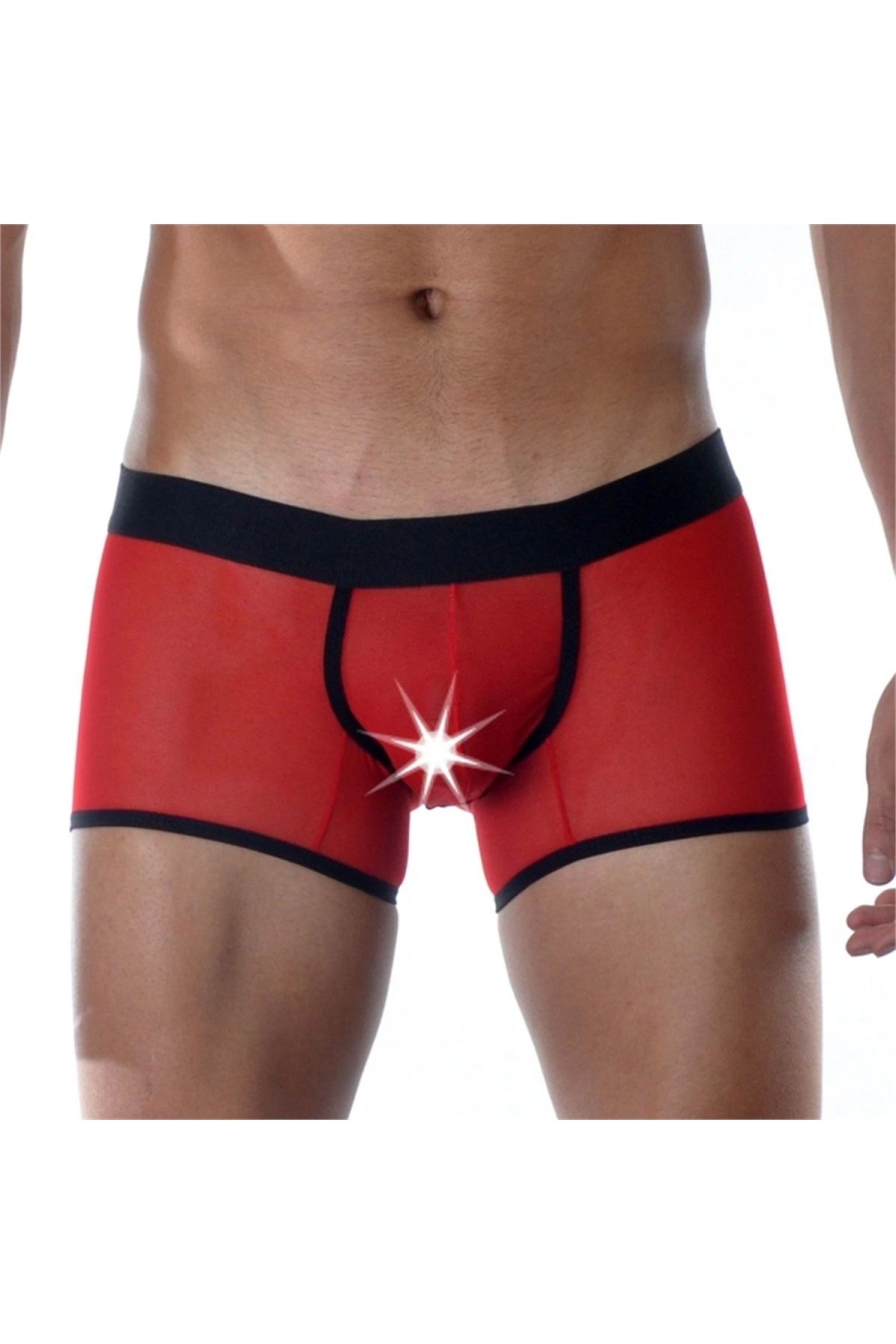 Narnuga MİRAXX Kırmızı Erkek Boxer