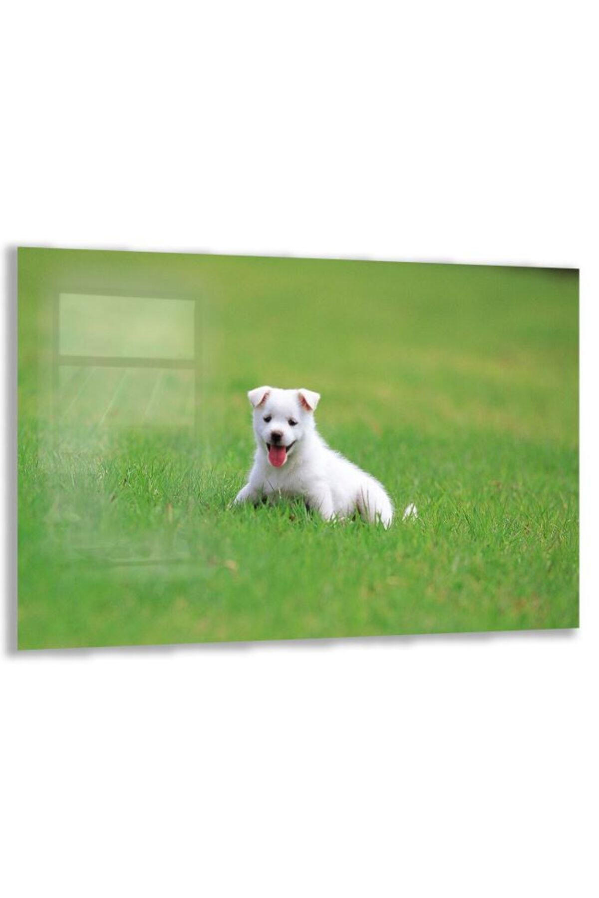 Domovit Köpek Cam Tablo - Yatay Motif 01-042