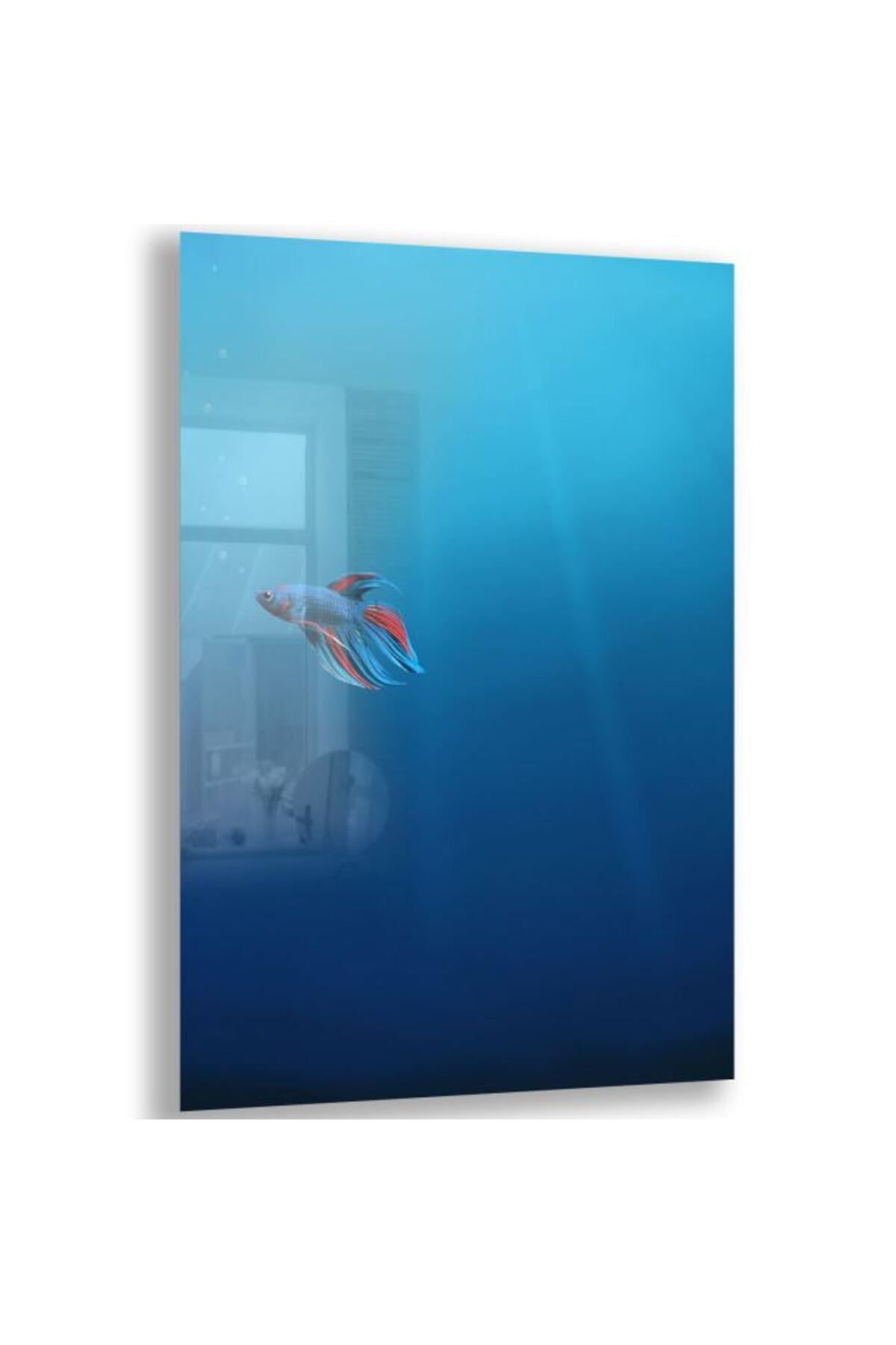 Domovit Balık Cam Tablo - Dikey Motif 02-016