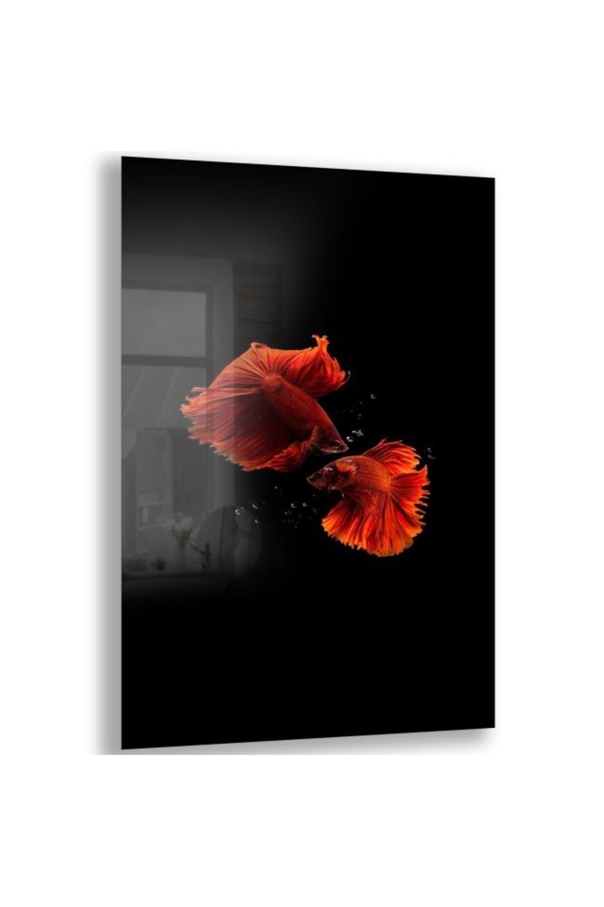 Domovit Balık Cam Tablo - Dikey Motif 02-014
