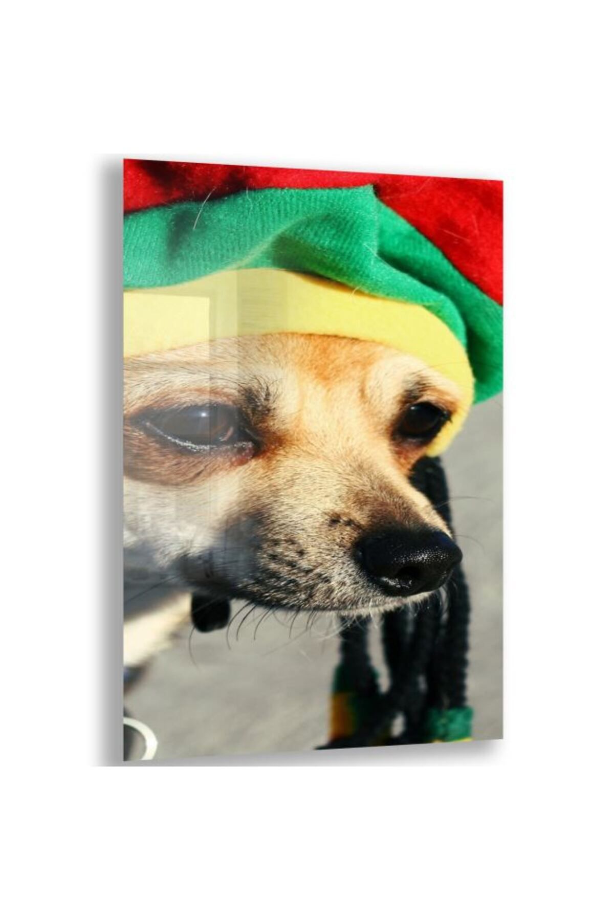 Domovit Köpek Cam Tablo - Dikey Motif 02-007