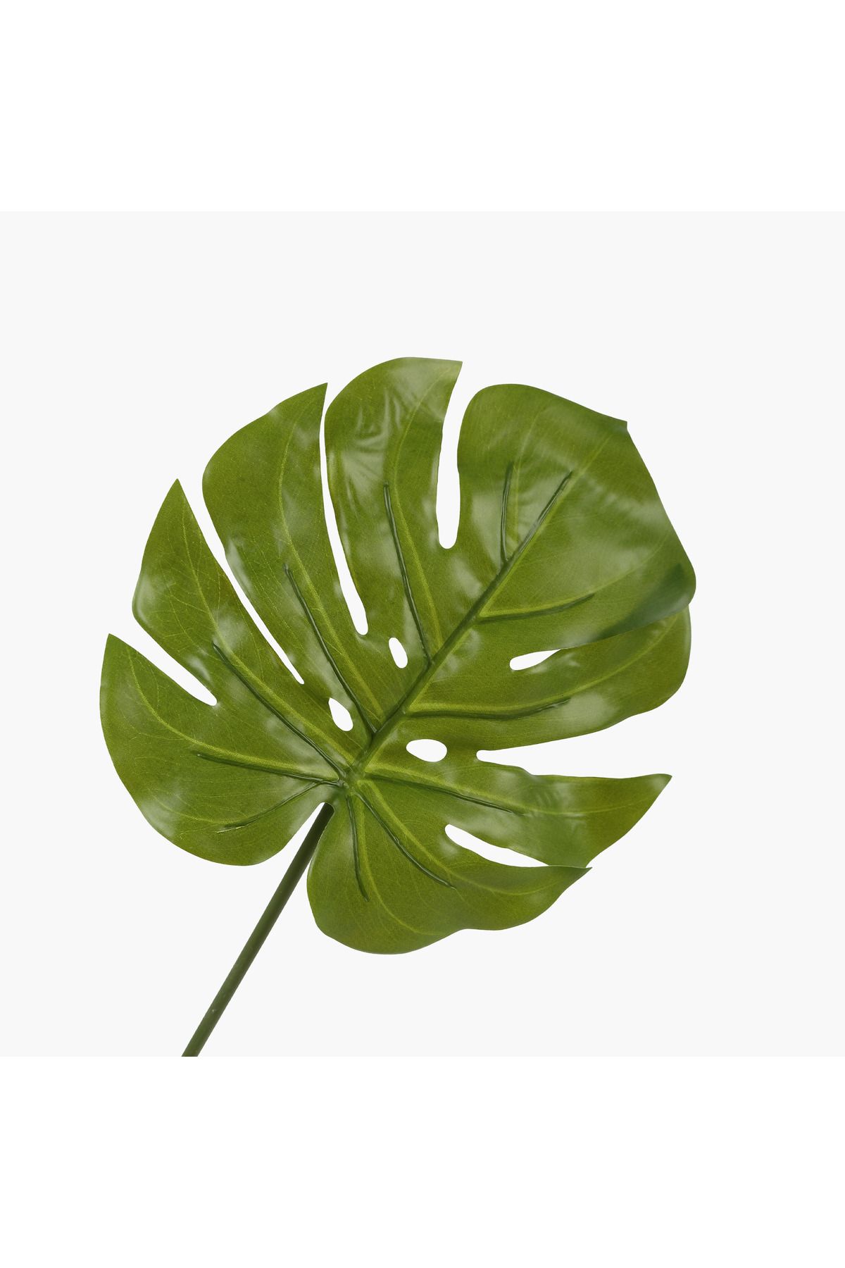 JASMIN CONCEPTS Büyük Monstera Yaprak Dal 71cm