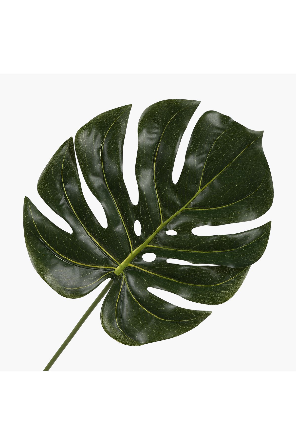 JASMIN CONCEPTS Büyük Yaprak Dal 79cm