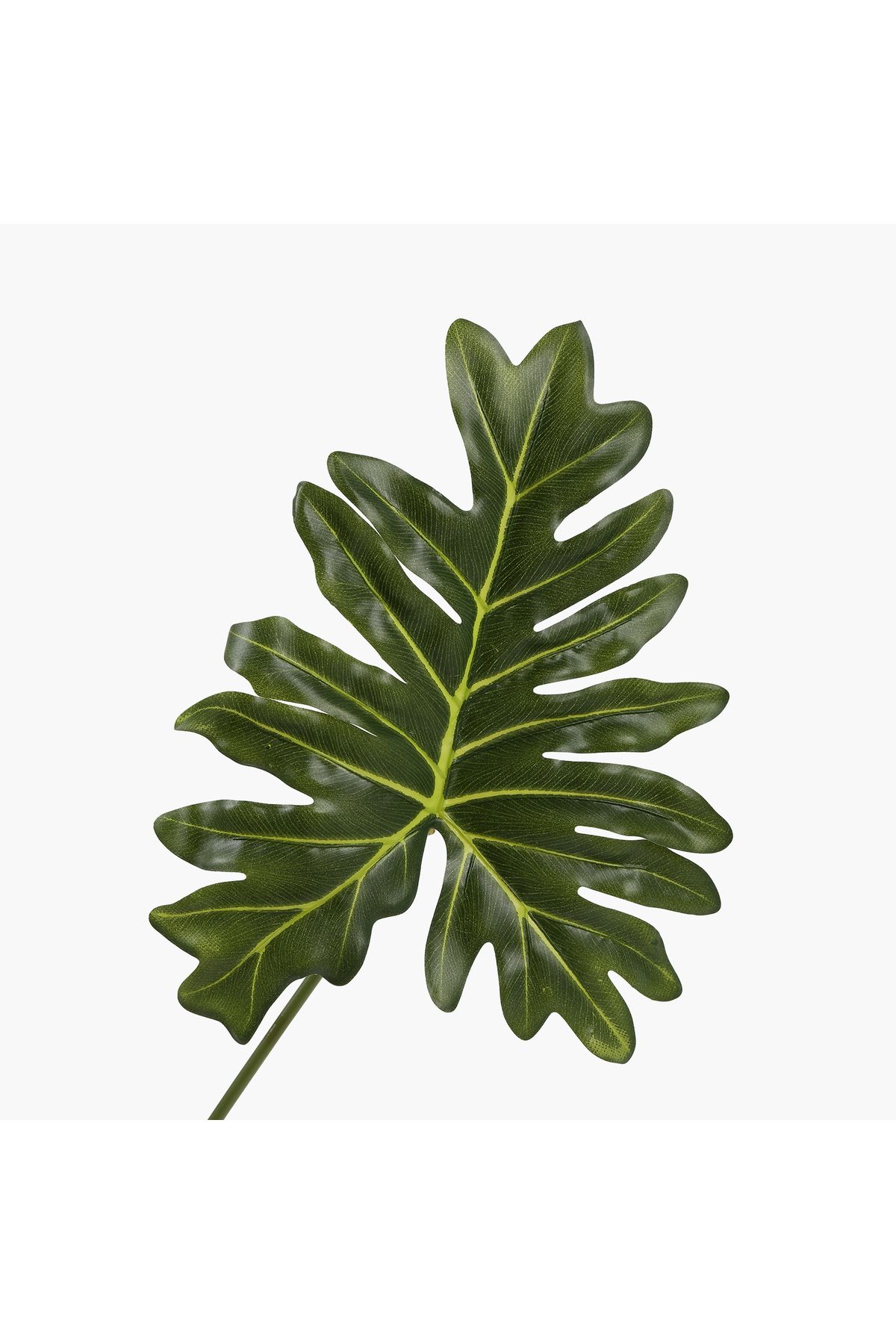 JASMIN CONCEPTS Büyük Selom Yaprak Dal 75cm
