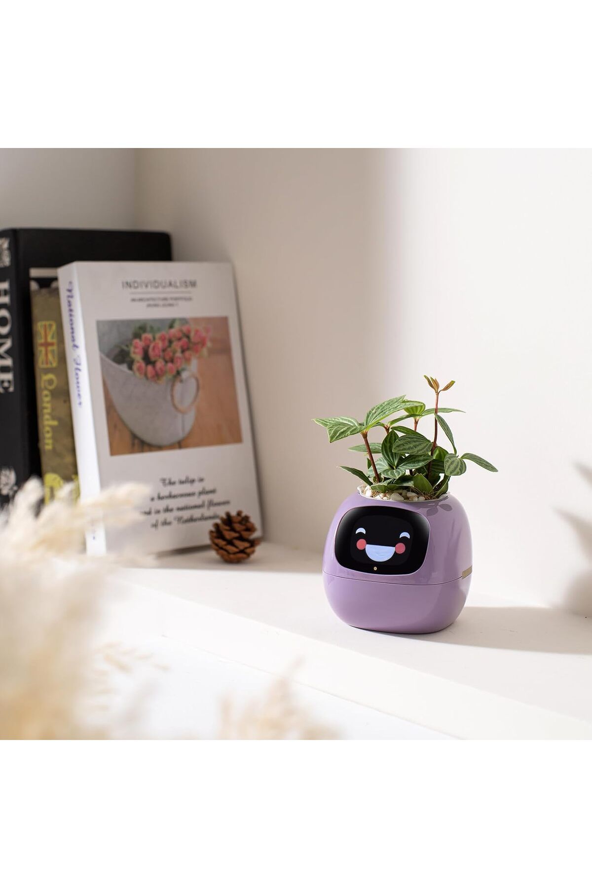 DESERT SPARK PLANTSIO Akıllı Evcil Hayvan Saksı Robotu