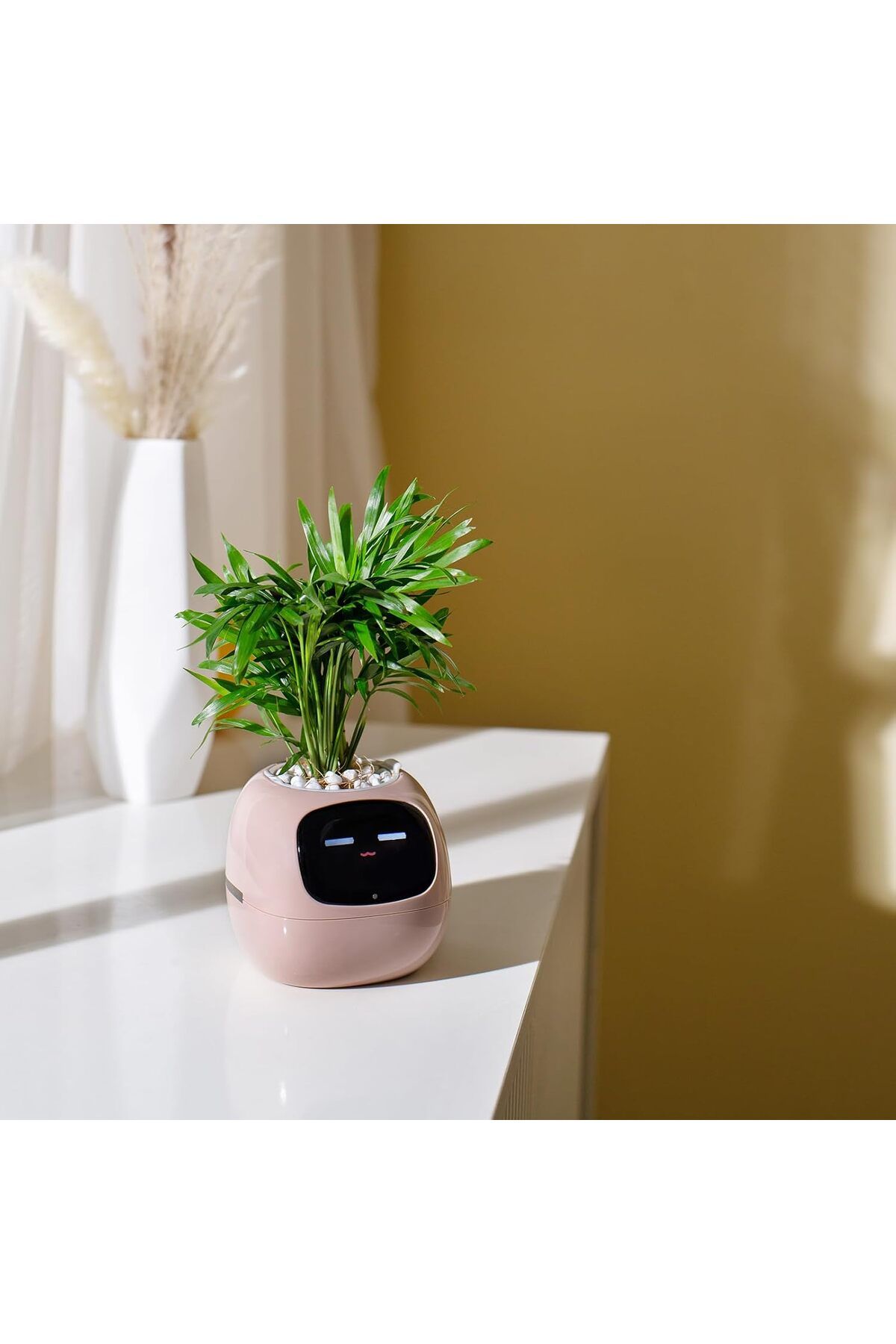 DESERT SPARK PLANTSIO Akıllı Evcil Hayvan Saksı Robotu