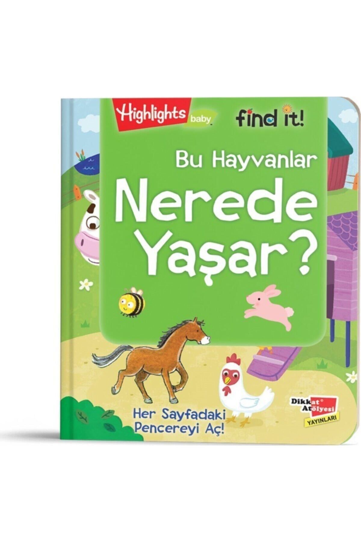 Dikkat Atölyesi Yayınları Baby Find It - Bu Hayvanlar Nerede Yaşar?