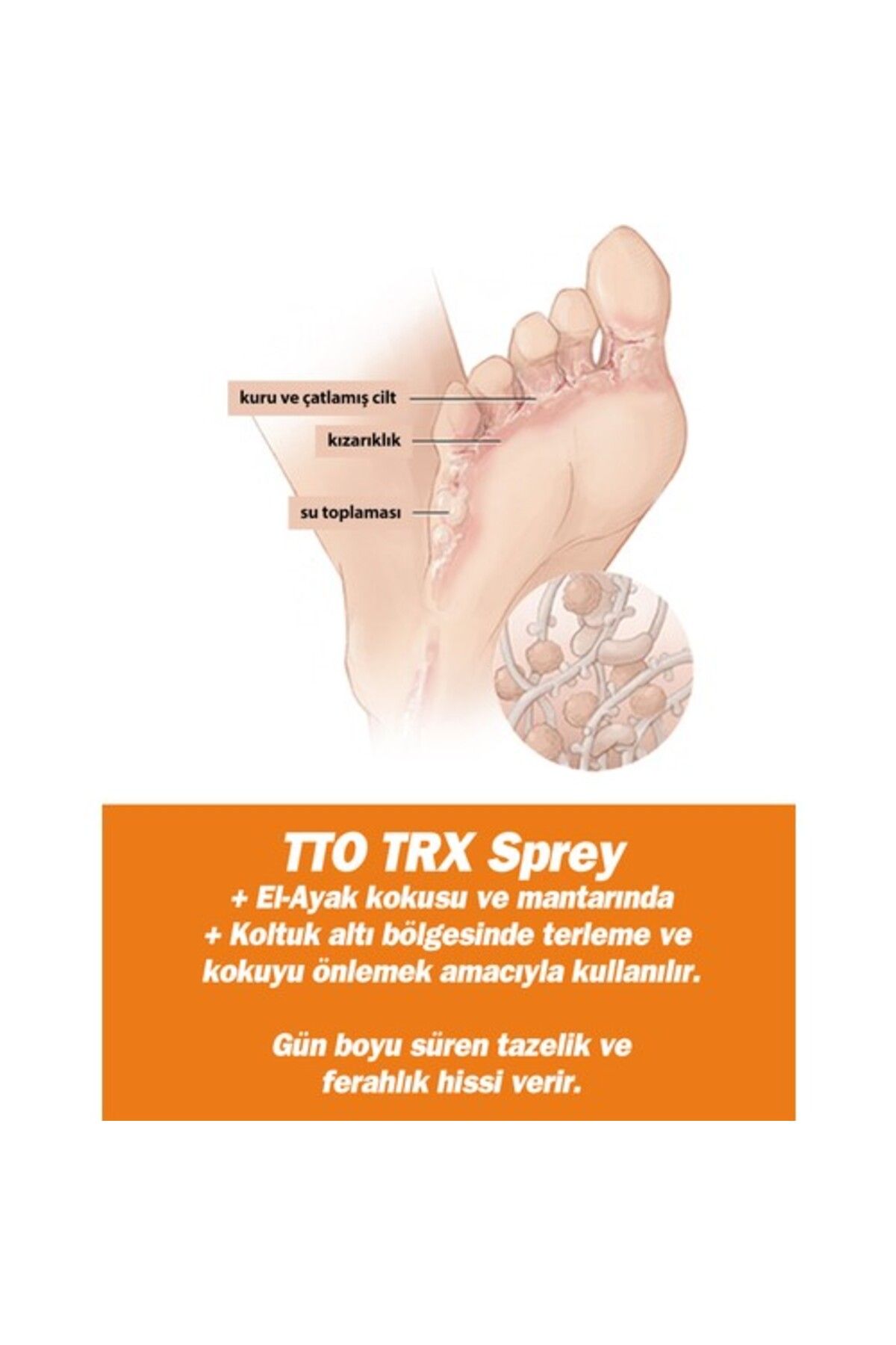 قطره سرم اسپری TRX حرارتی اورجینال Tto