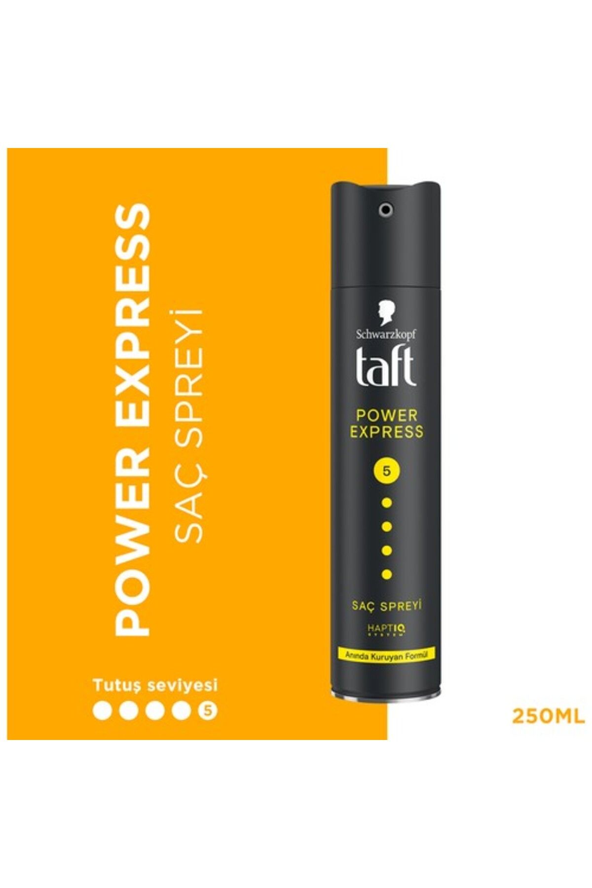 Taft Saç Spreyi No:5 Power Experss 250ml