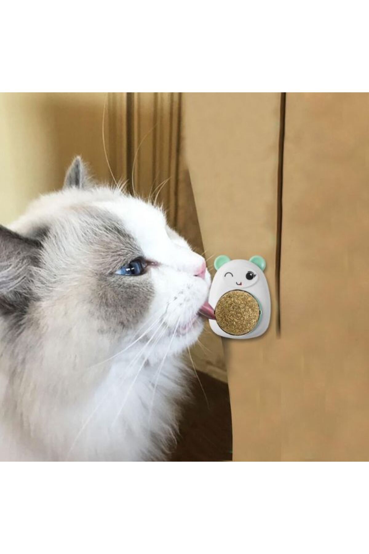 Evelise-Interactive toy Teddy Bear Model for kittens with 360° rotating ball made of Catnip grass, 4