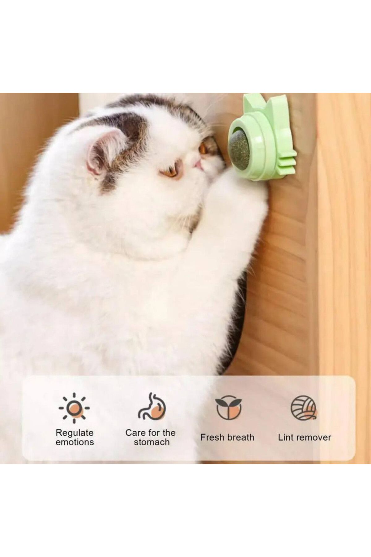 Evelise-Jucărie interactivă pentru pisoi cu bilă rotativă la 360° din iarbă Catnip pentru curățarea dinților, 5,5 l 3