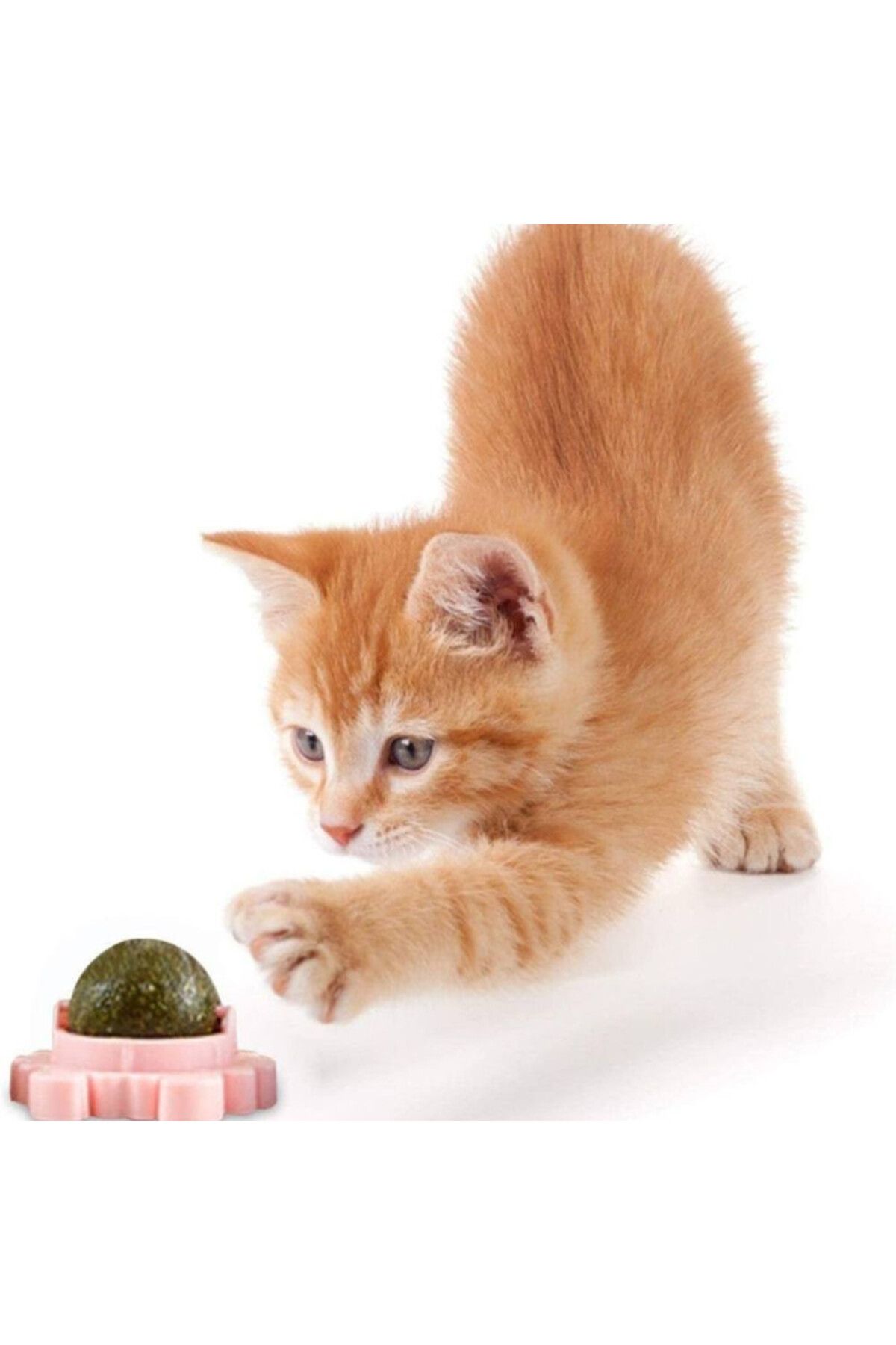 Evelise-Jucărie interactivă pentru pisoi cu bilă rotativă la 360° din iarbă Catnip pentru curățarea dinților, 5,5 l 4
