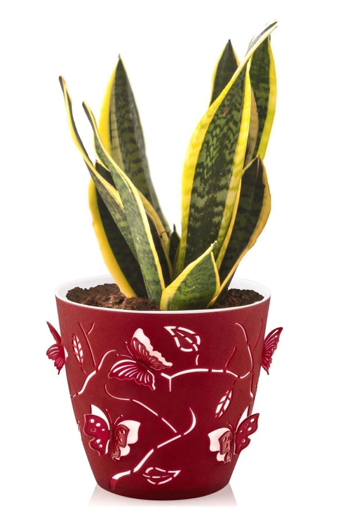 MF Botanik 0,7 Litre bordo 3d Kelebek Desenli Su Hazneli Dekoratif Plastik Saksı No1 Ø11,5x10,5cm