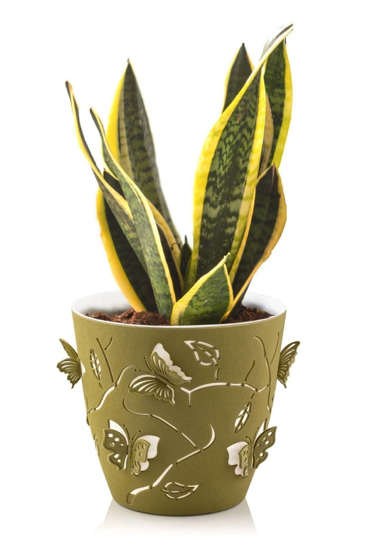 MF Botanik 1,4 Litre Yeşil 3d Kelebek Desenli Su Hazneli Dekoratif Plastik Saksı No1 Ø14,5x13,3cm