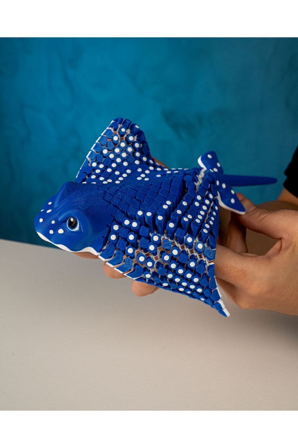 Dalış Dükkanı Eagle Ray Biblo