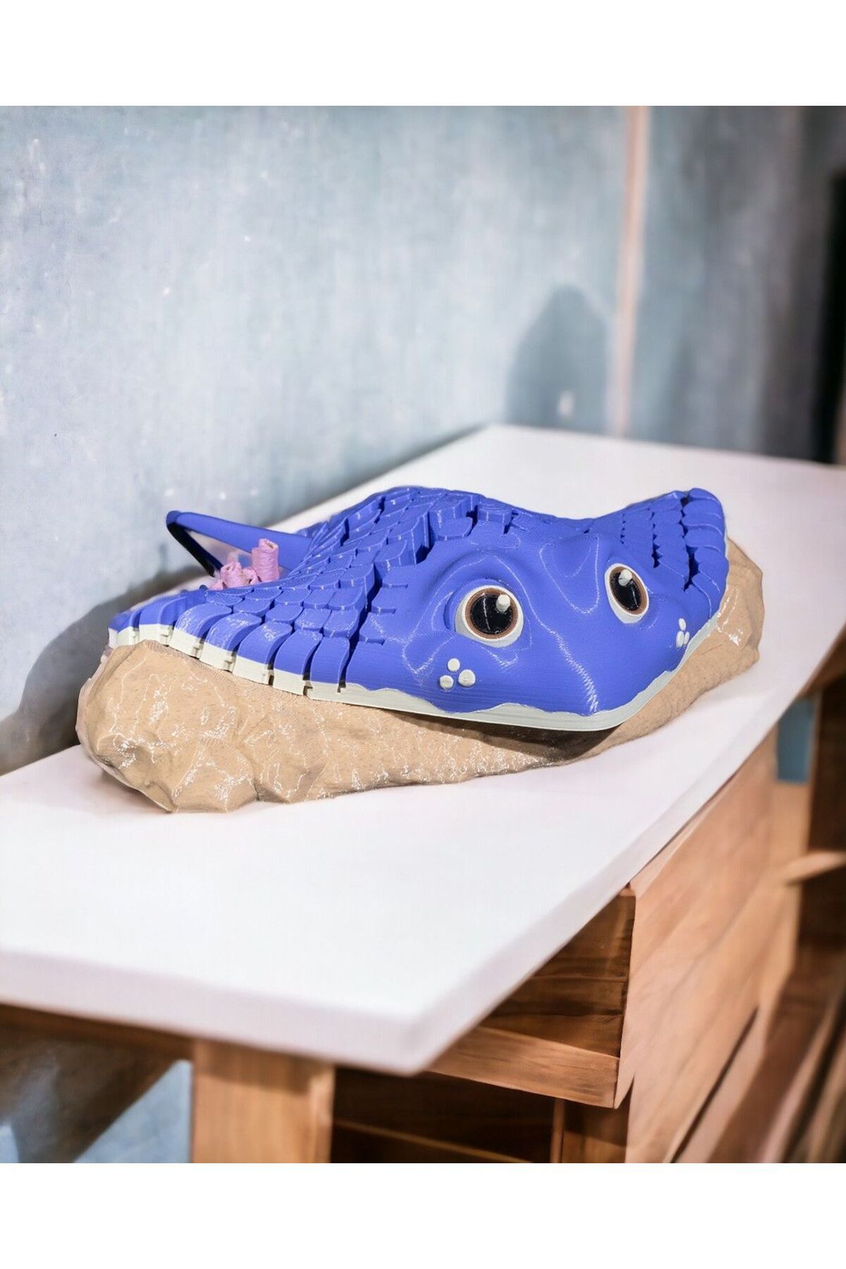 Dalış Dükkanı Manta Ray Biblo