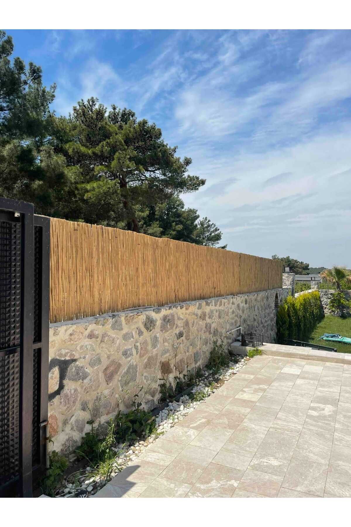 alpdekorasyon DOĞAL KAMIŞ HASIR 20CM X 2 M