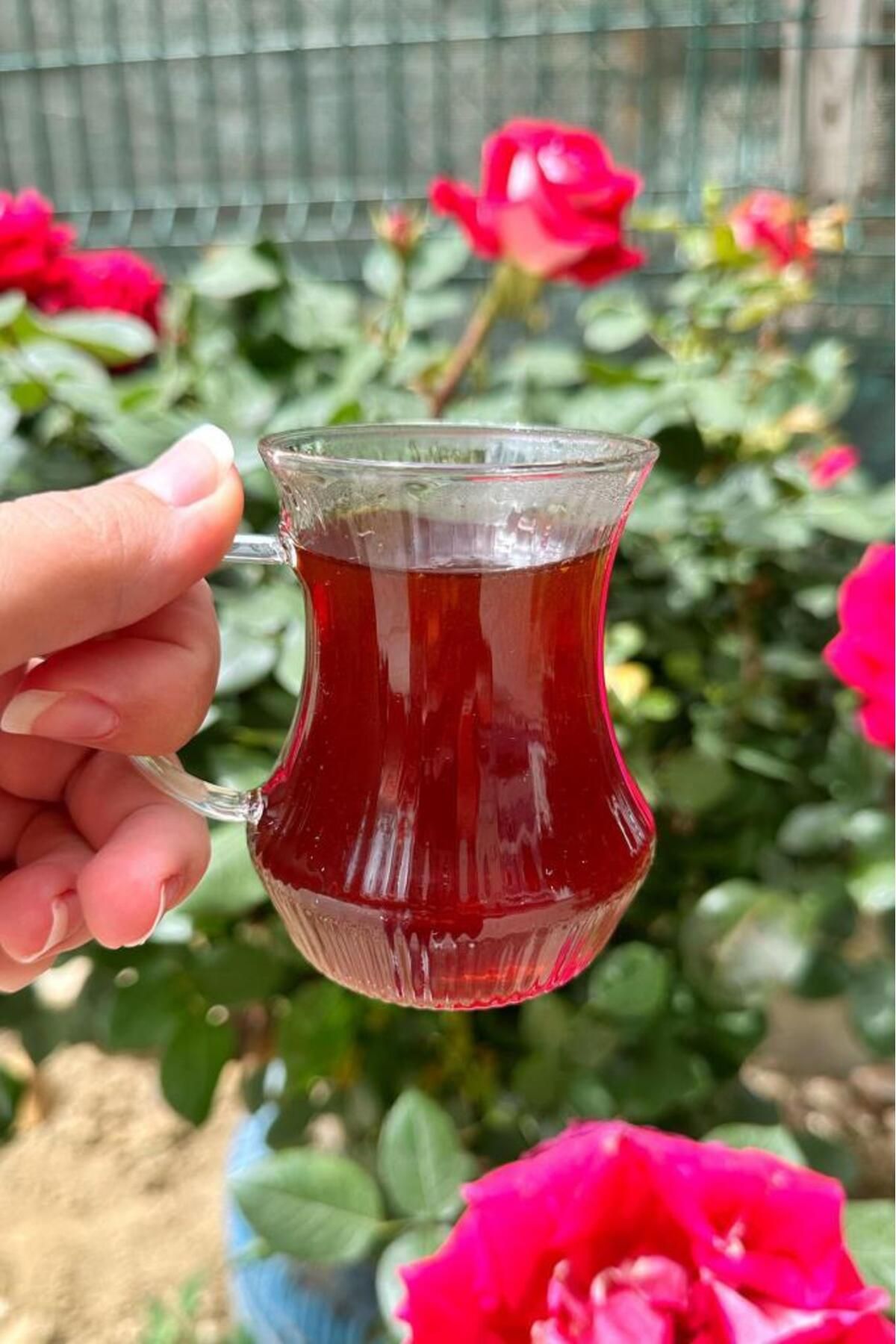 MİEN Mien 6 Kişilik Borosilikat Çizgili Cam Çay Bardağı Çay Bardağı